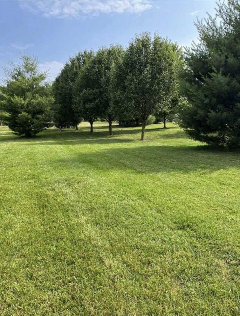 Lawn Care for Wright Lawn Services in Ozark, MO