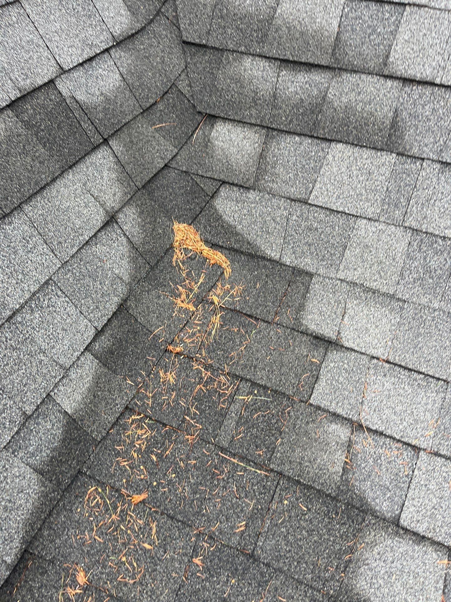  for Jalbert Contracting LLC in Alton, NH