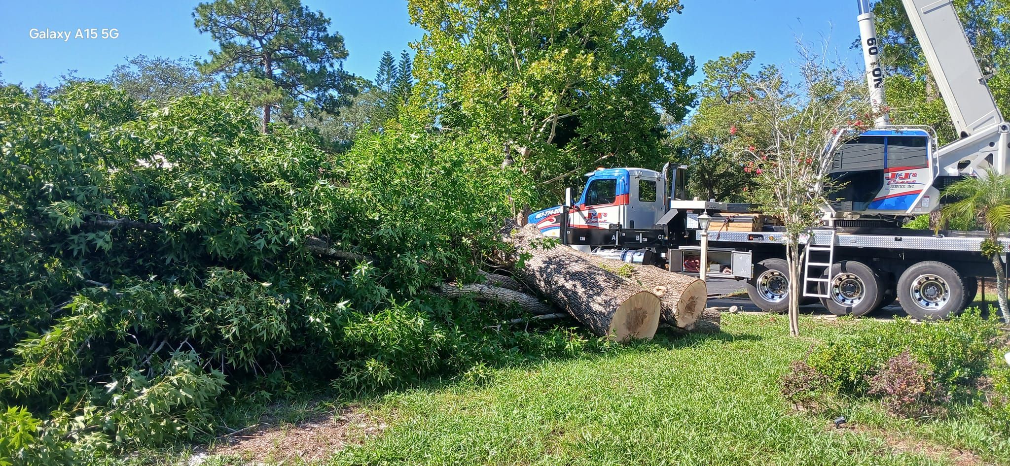  for A Southern Style Tree Service in Orlando, FL