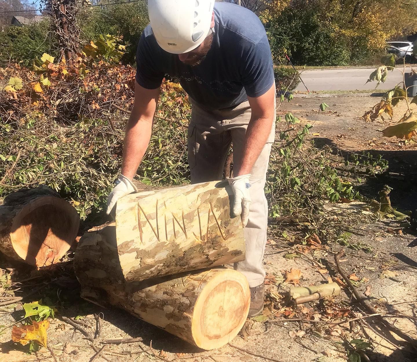  for Timber Ninja Service in Lexington, KY