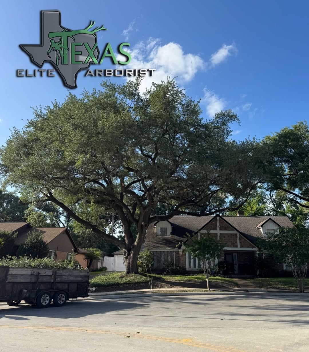  for Texas Elite Arborist in Houston, TX