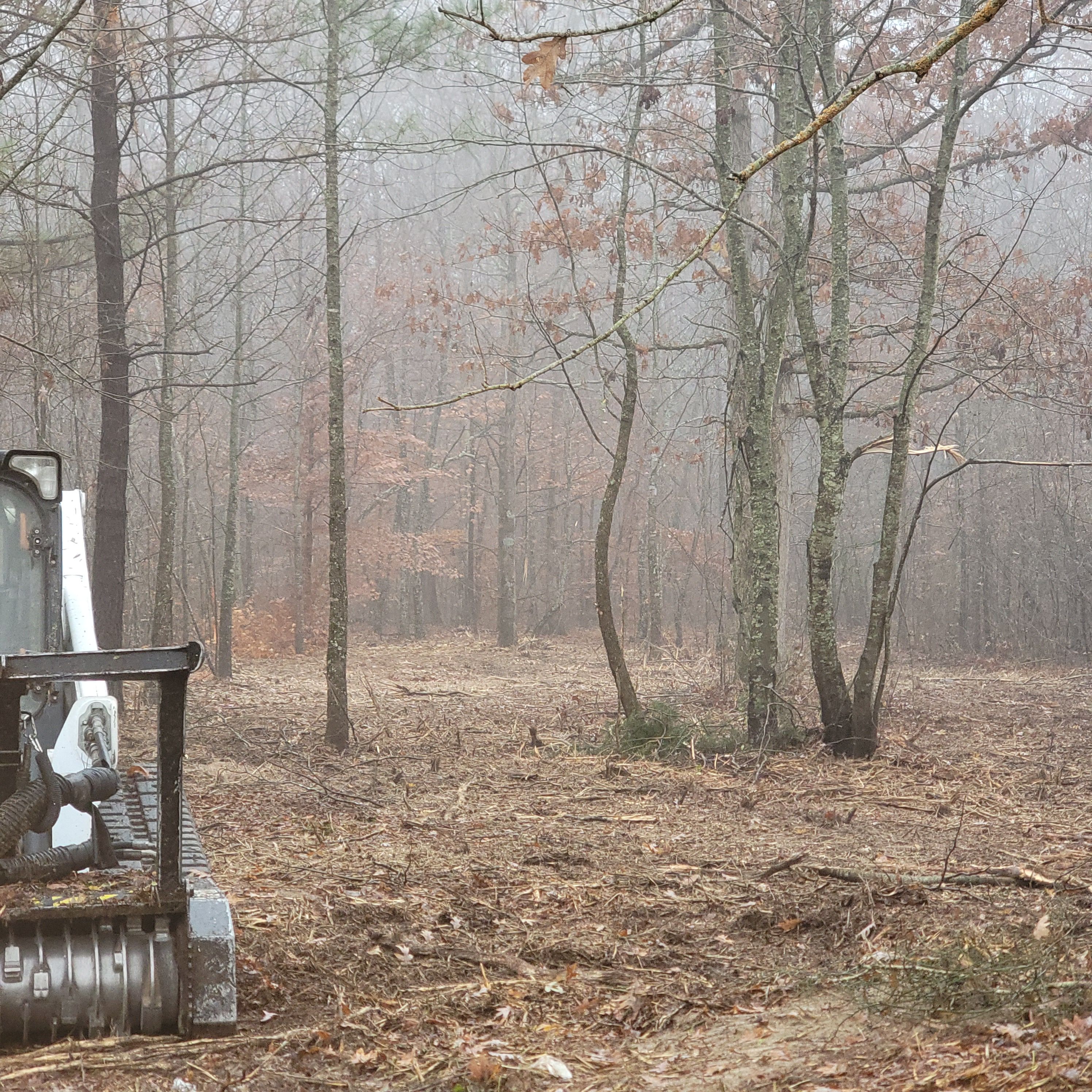  for Z's Land Management & Forestry Mulching in Smithville, TN