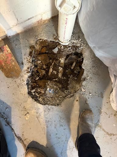  for The Drain Force in Cleveland, OH