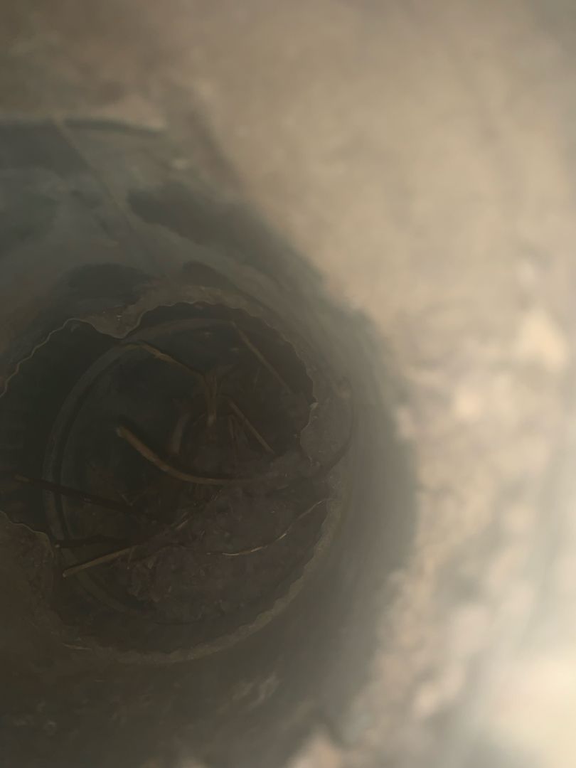 All Photos for Soapy Suds Services in St. Charles, IL