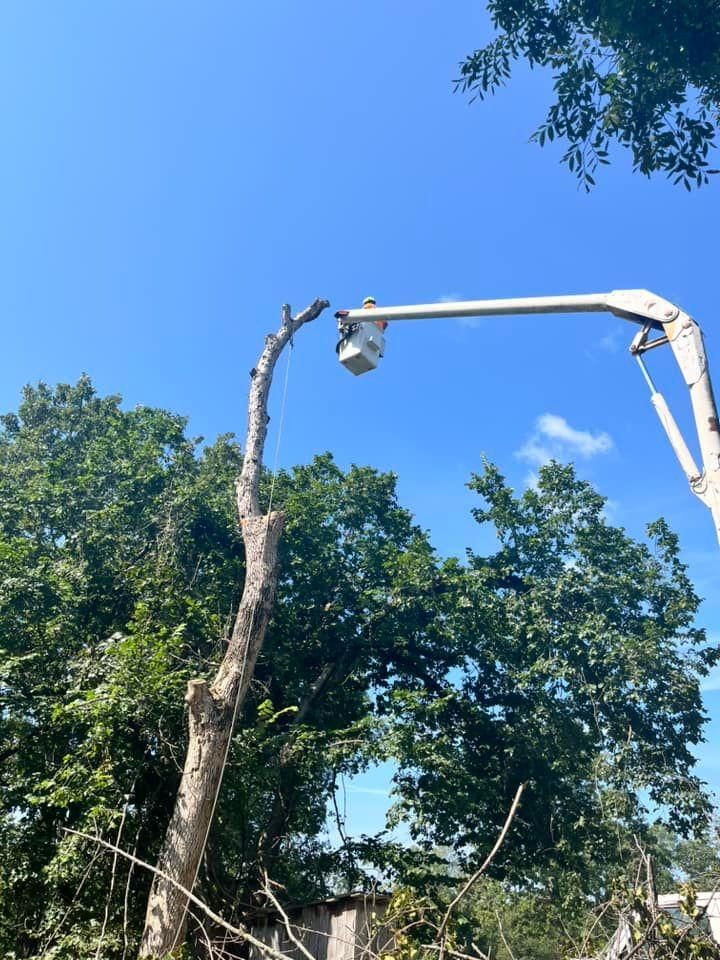  for H n H Tree Service in Taneyville, MO