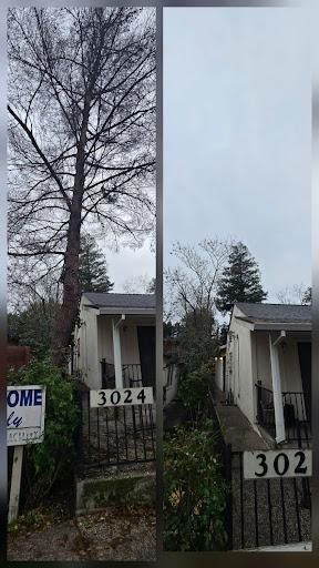  for George Staddan's Professional Tree Care in Placerville, CA