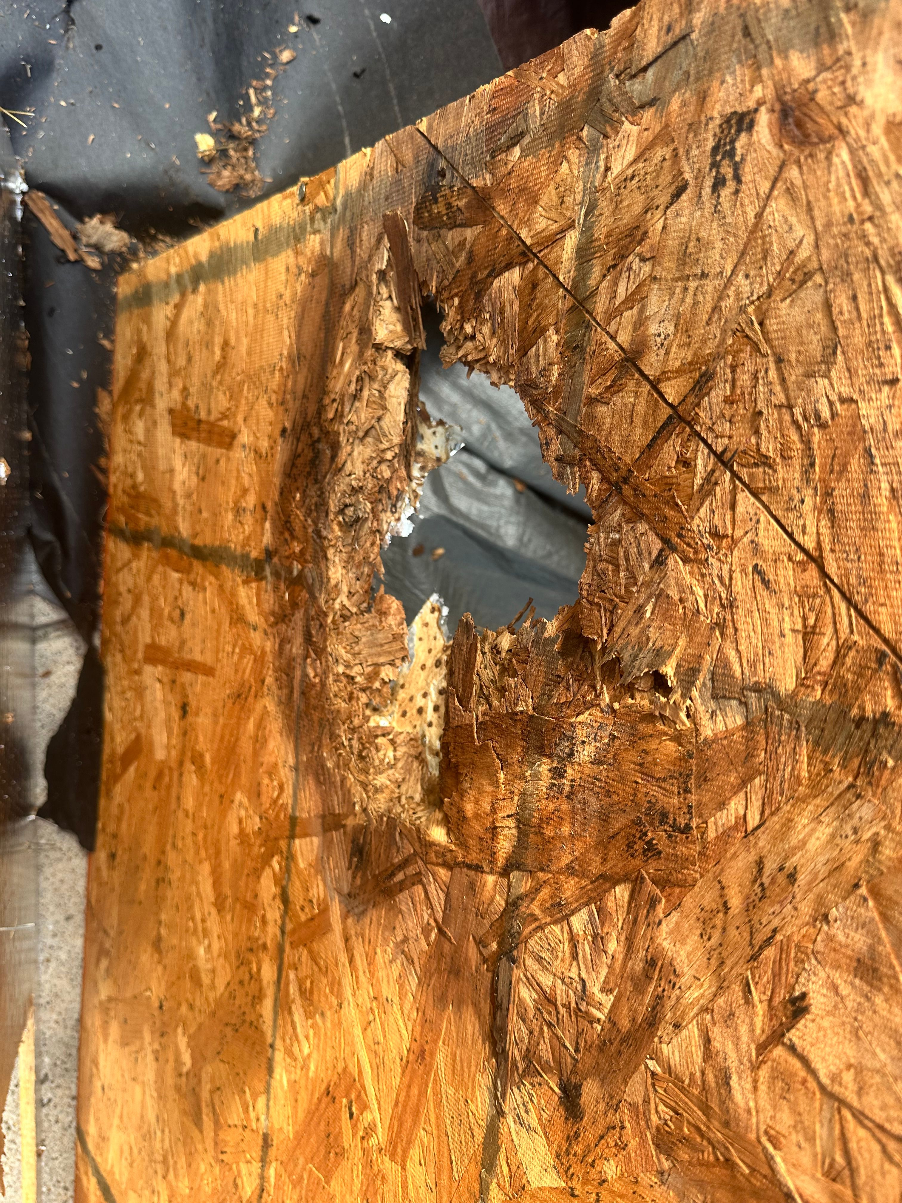 All Photos for Major League Roofing in Frisco, TX