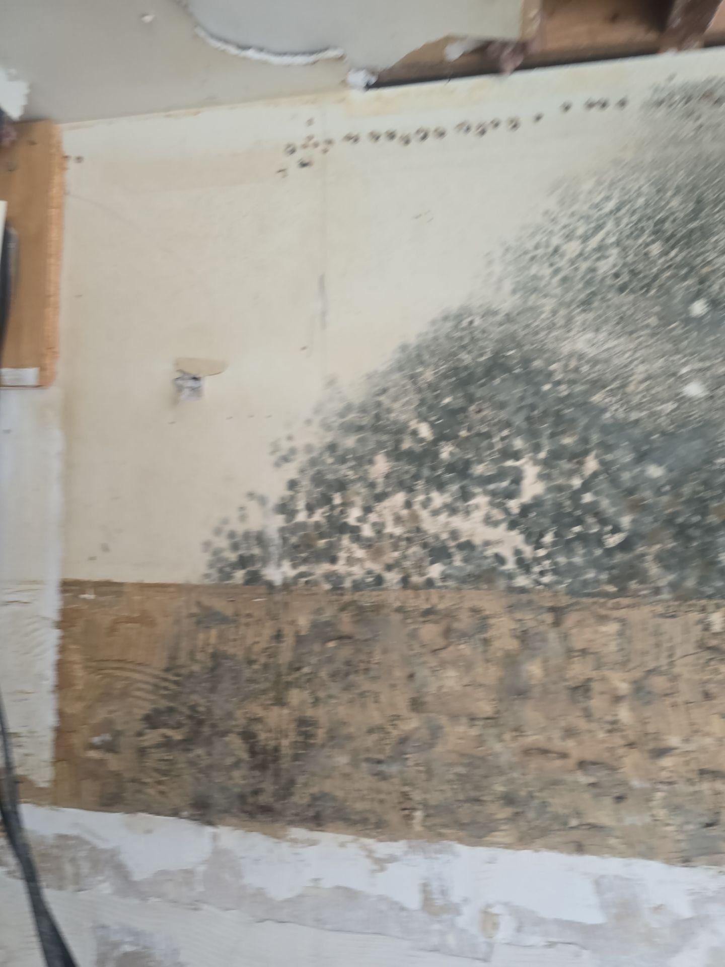  for Zorcon Contracting LLC in Tampa, FL