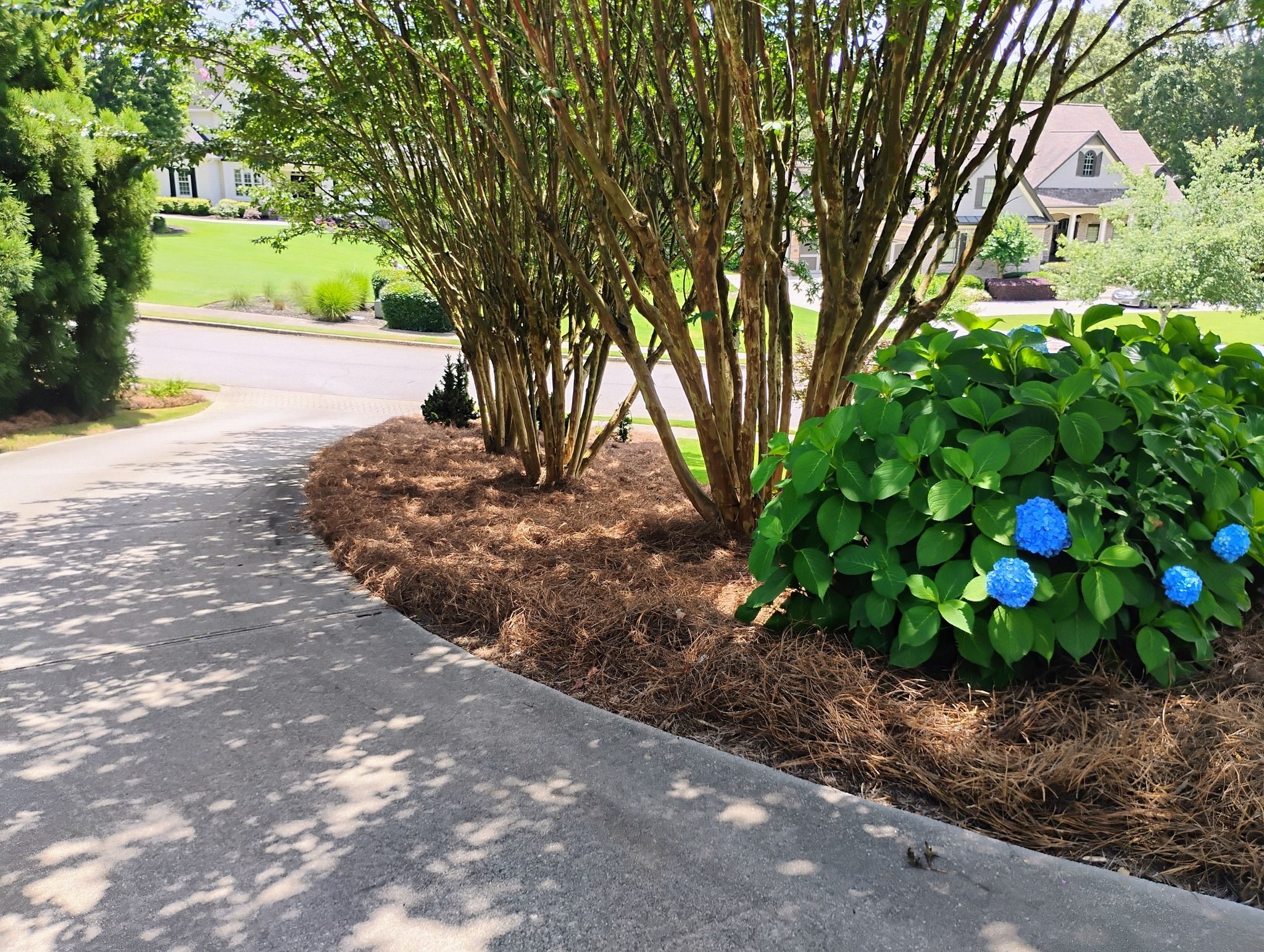 All Photos for BAM Another Pinestraw Lot in Flowery Branch, GA
