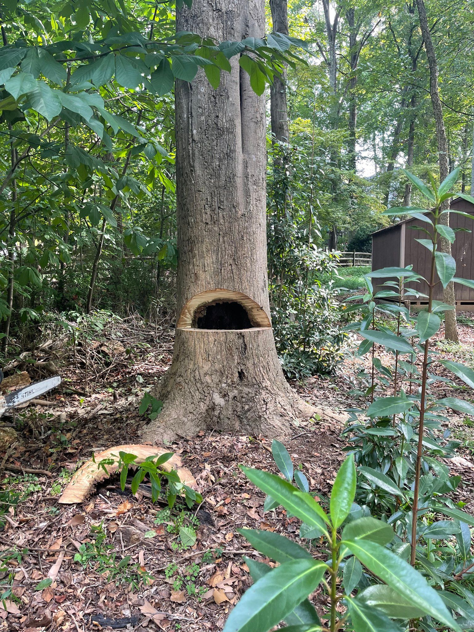  for Stem Tree Service in Belmont, NC
