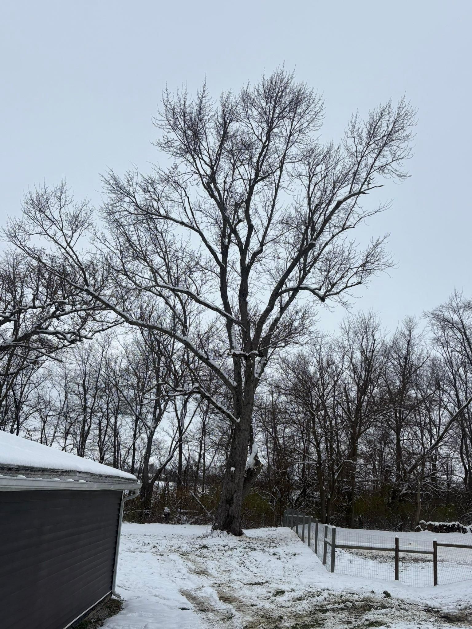  for Dig-It Tree Company in Mason, OH