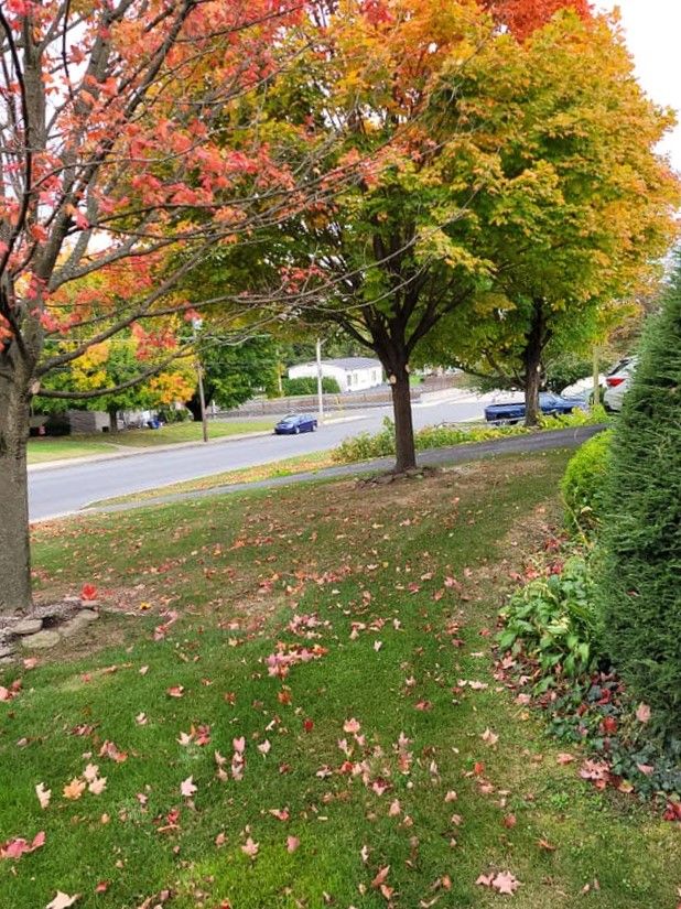  for Jonathan A. Henne Property Services. in Hamburg, PA