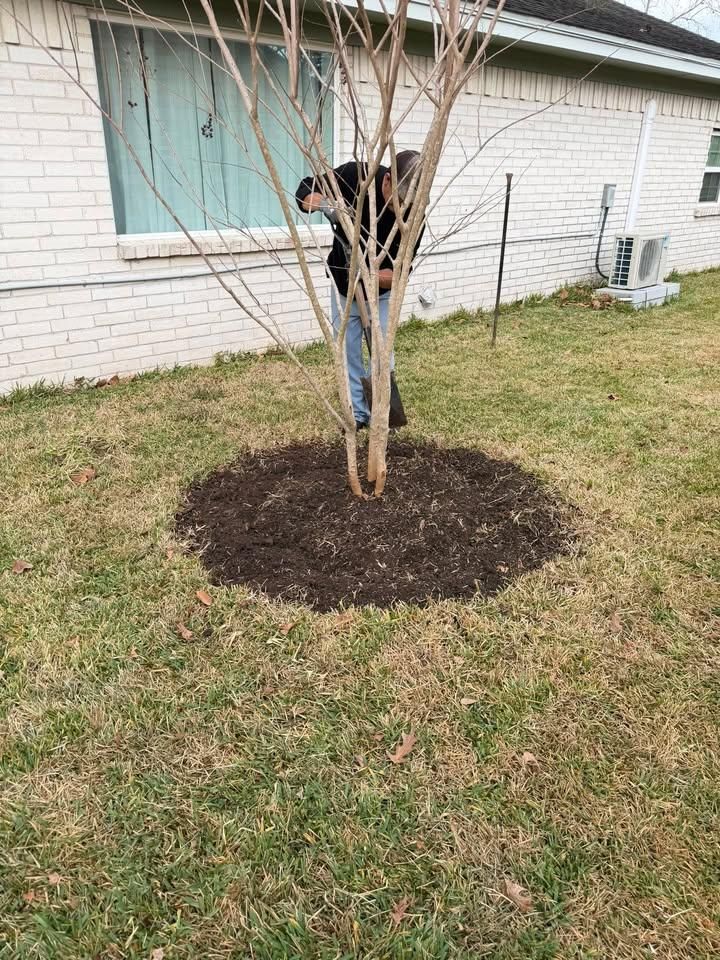  for Texas Curb N Borders in Houston, TX