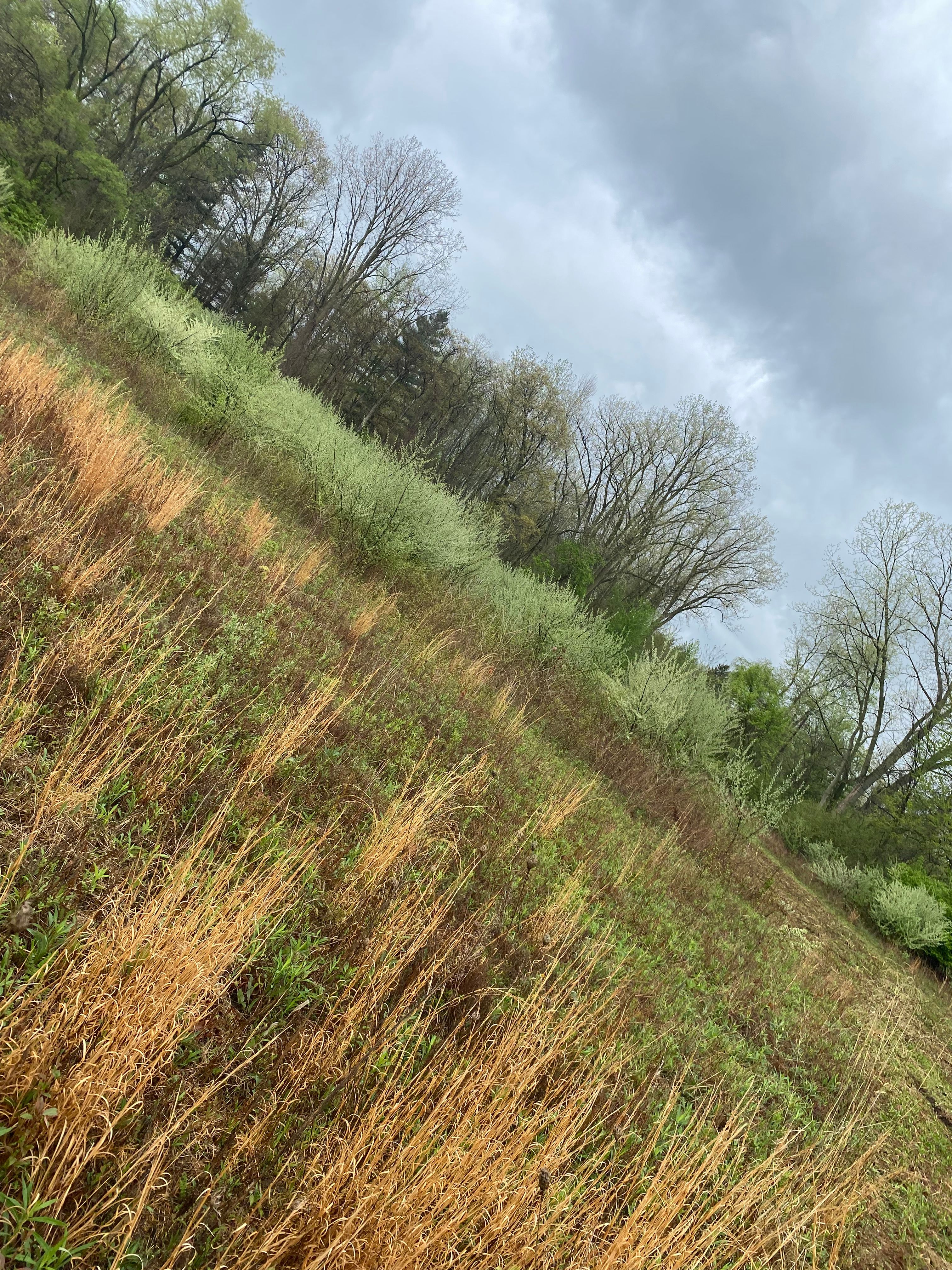  for Sargent's Lawn and Property Maintenance LLC in Lambertville, MI