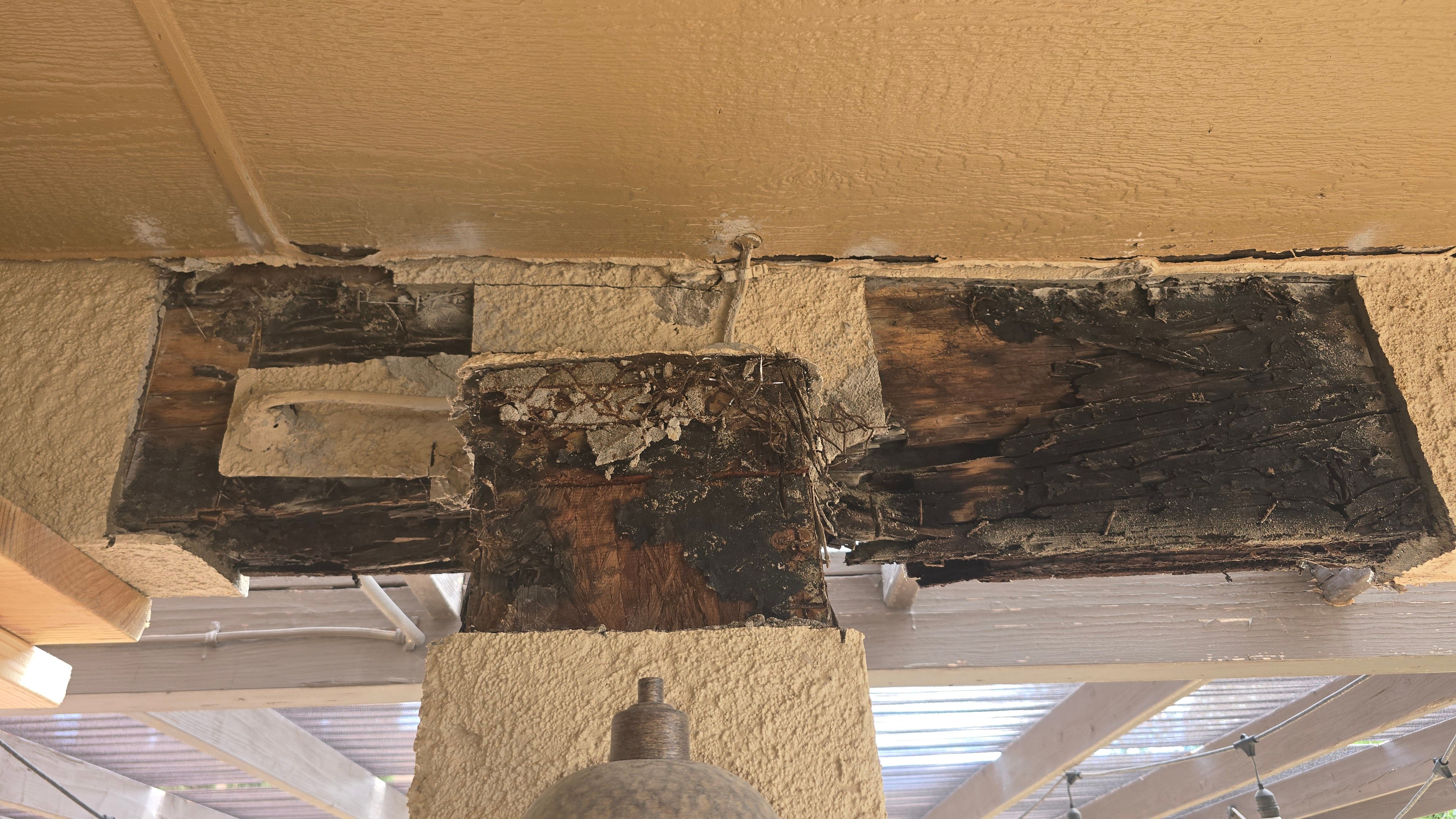  for Great Outdoors Patio Projects in El Paso, TX