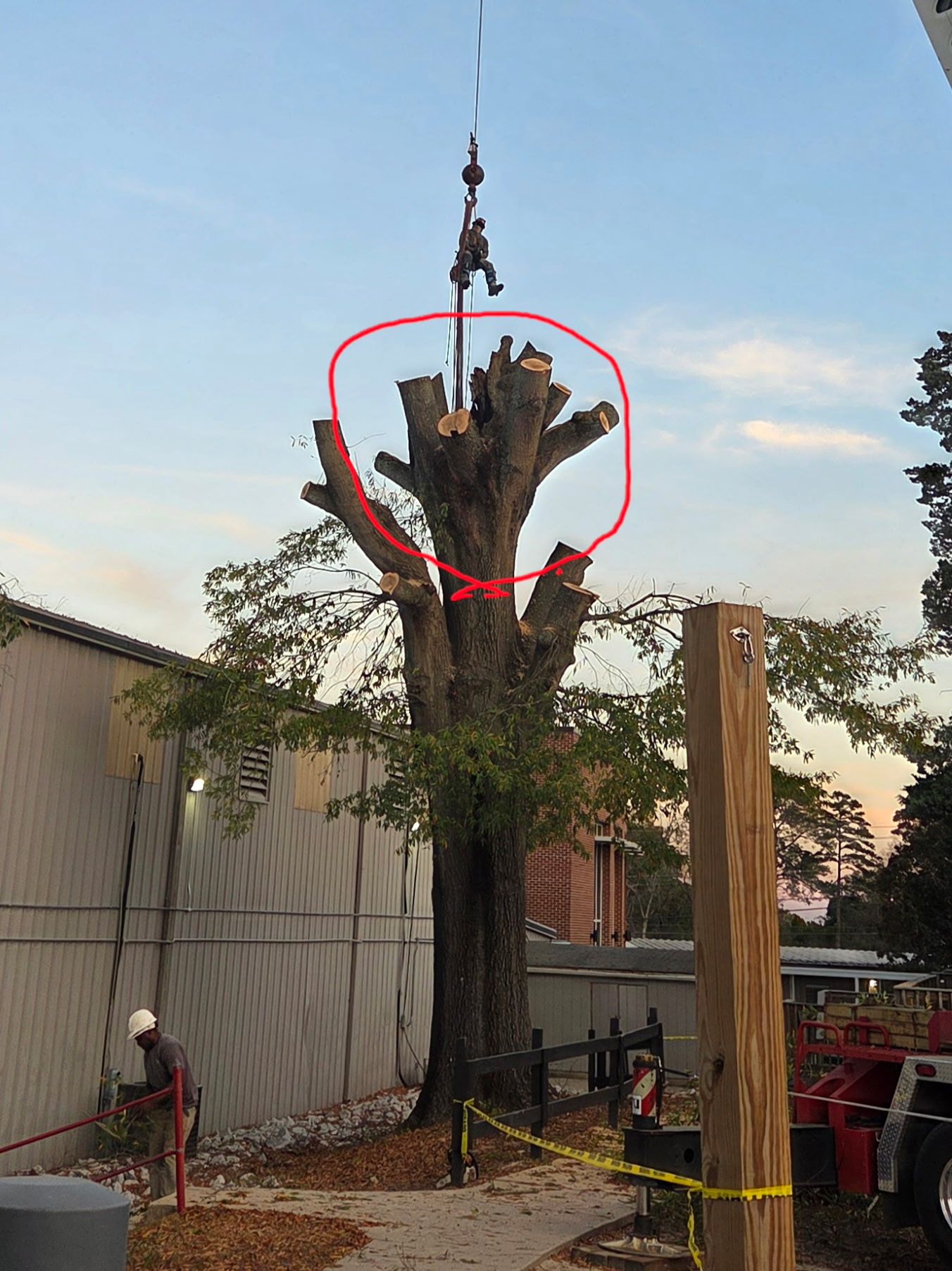  for Trees Unlimited of the CSRA in Augusta, GA