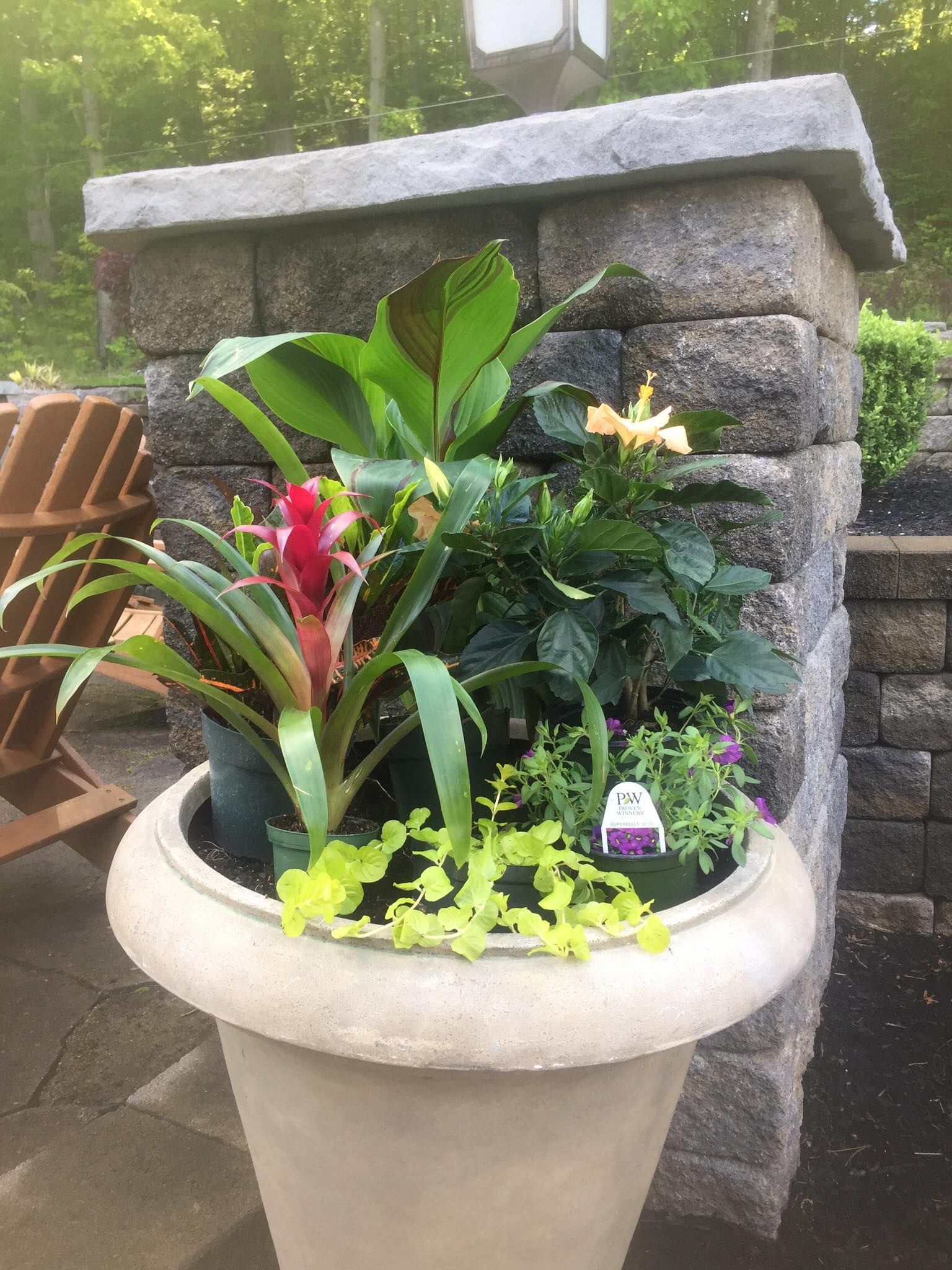  for  DeLorenzo Landscaping in Schenectady, NY