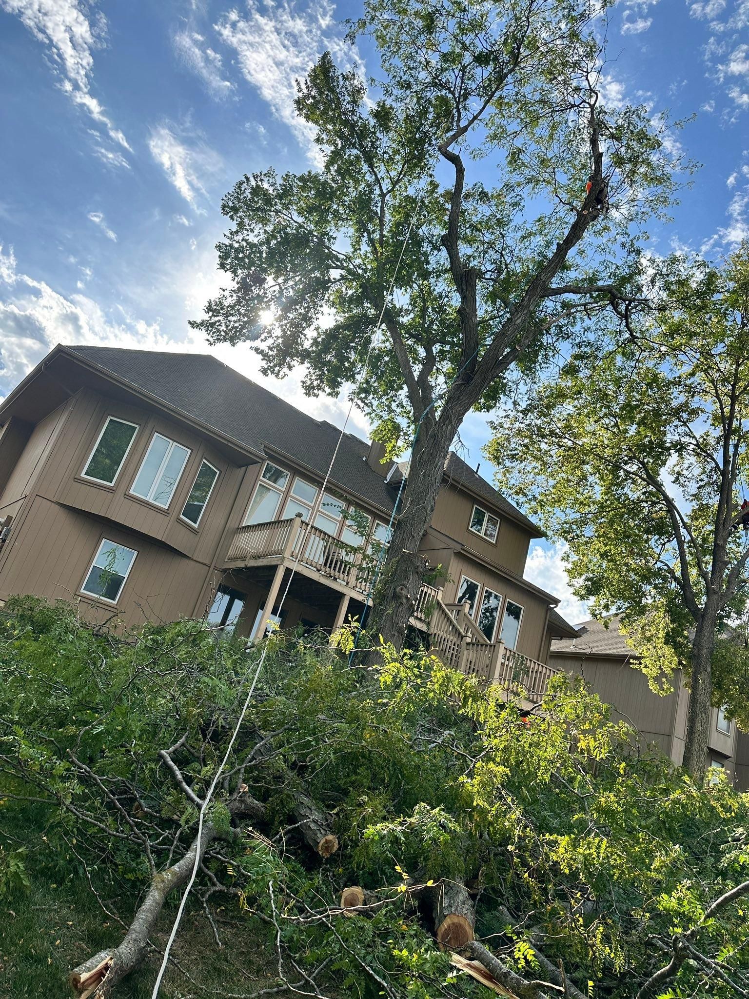 All Photos for Cross Family Tree Service in Kearney, MO