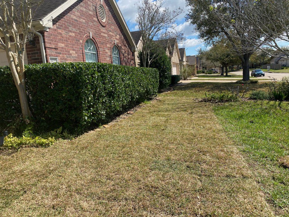  for Greenfield Tree Services in Manvel, TX
