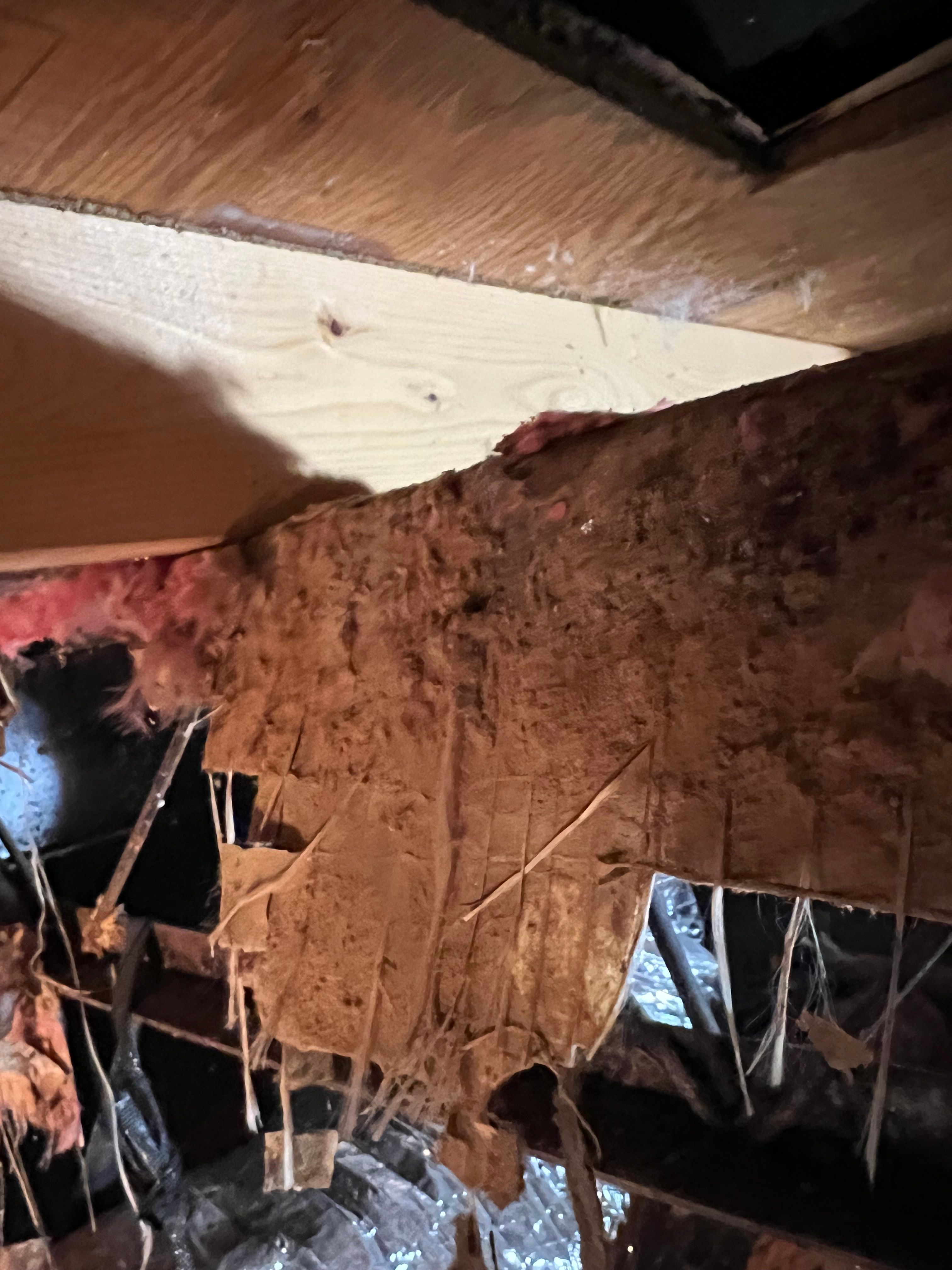  for N&D Restoration Services When Disaster Strikes, We Come In in Cape Coral,  FL