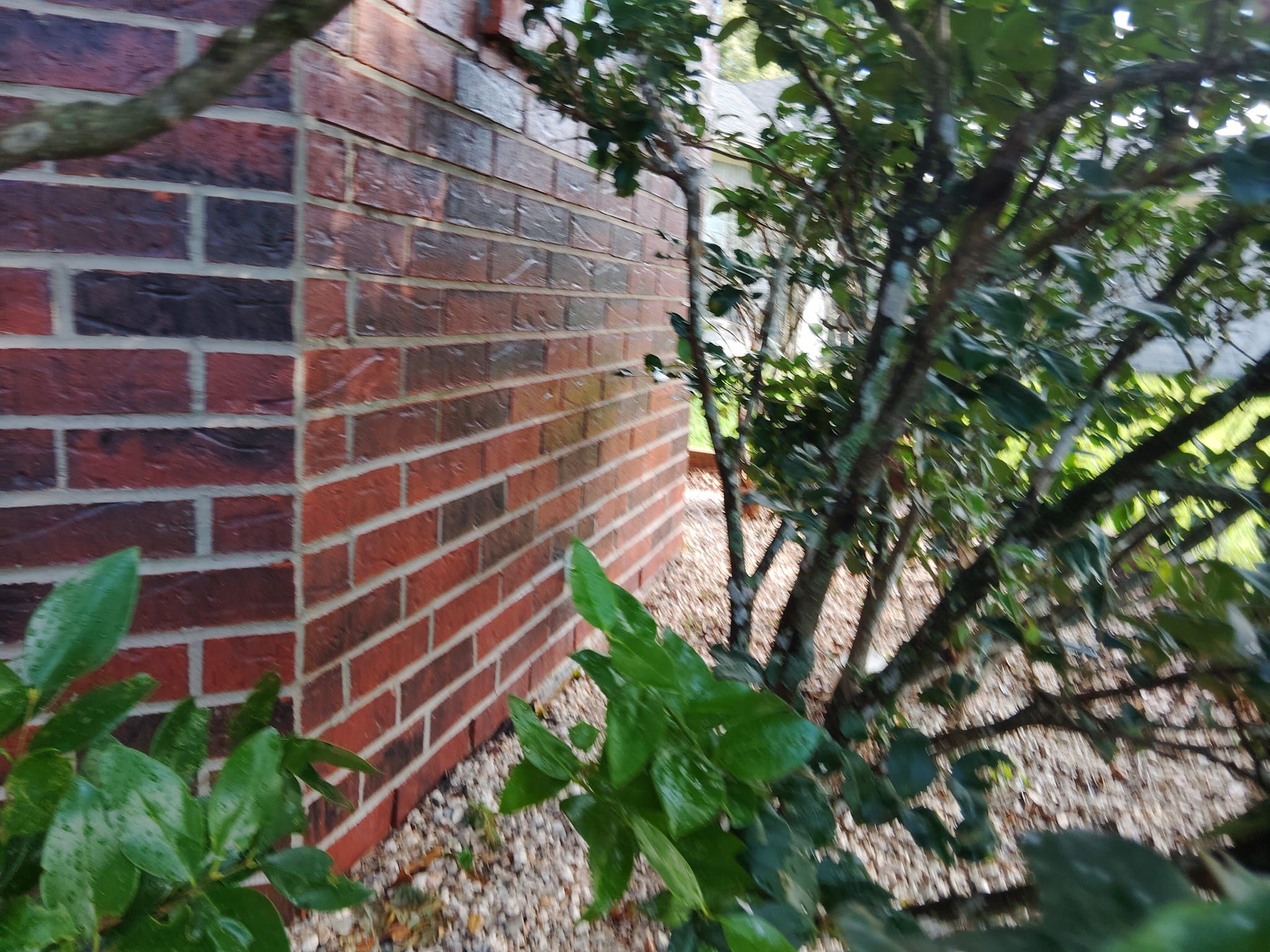 All Photos for Lonestar Masonry in Pasadena, TX