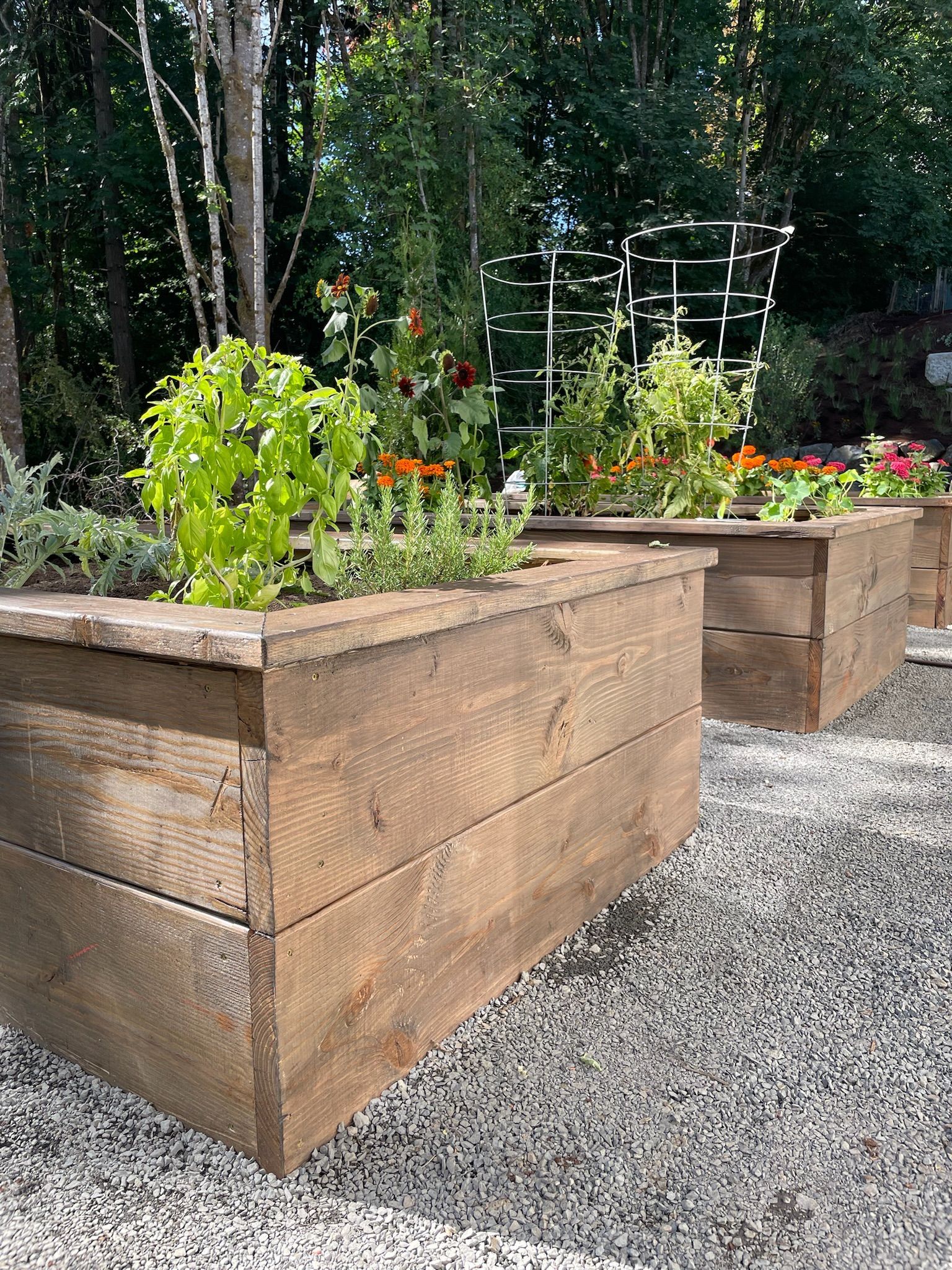  for Courtney Lewis Landscape Design in Portland, OR