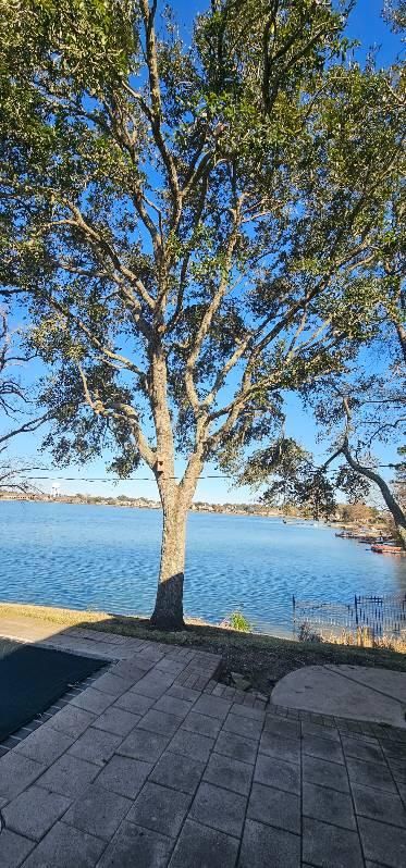  for Servin's Tree Care  in Houston, TX