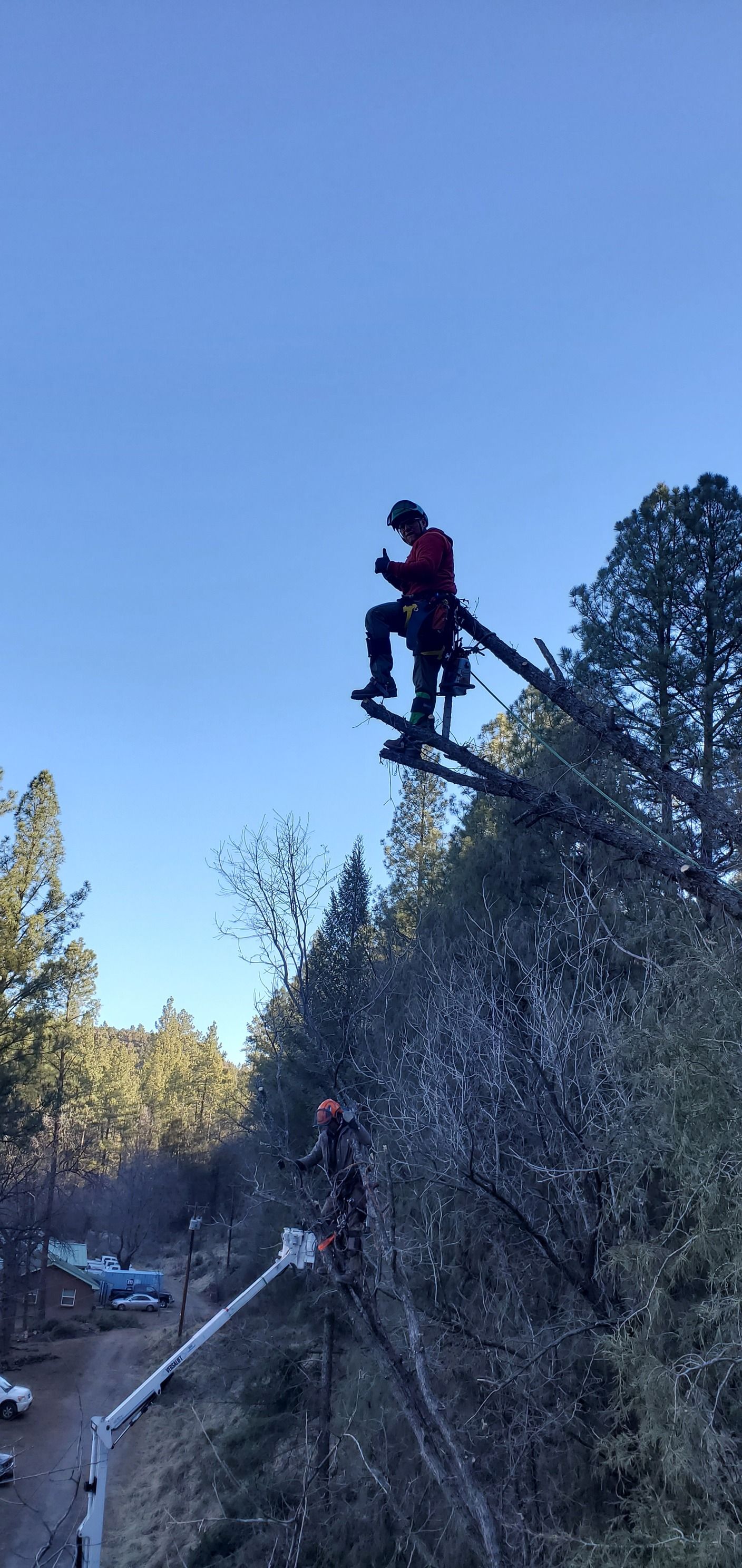  for StockPro Tree Specialists in Show Low, AZ