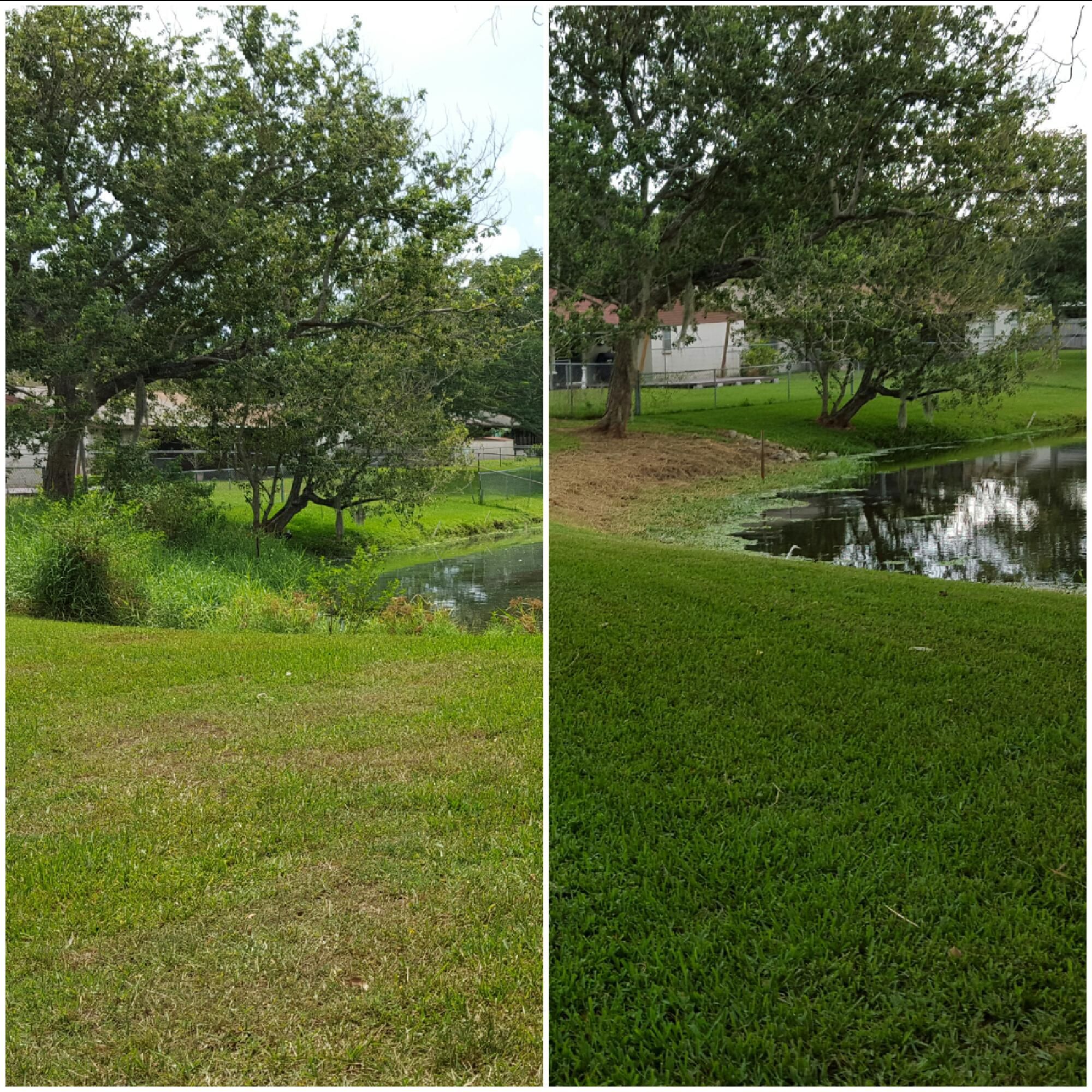  for 1 Friendly Lawn Service in Tampa, FL