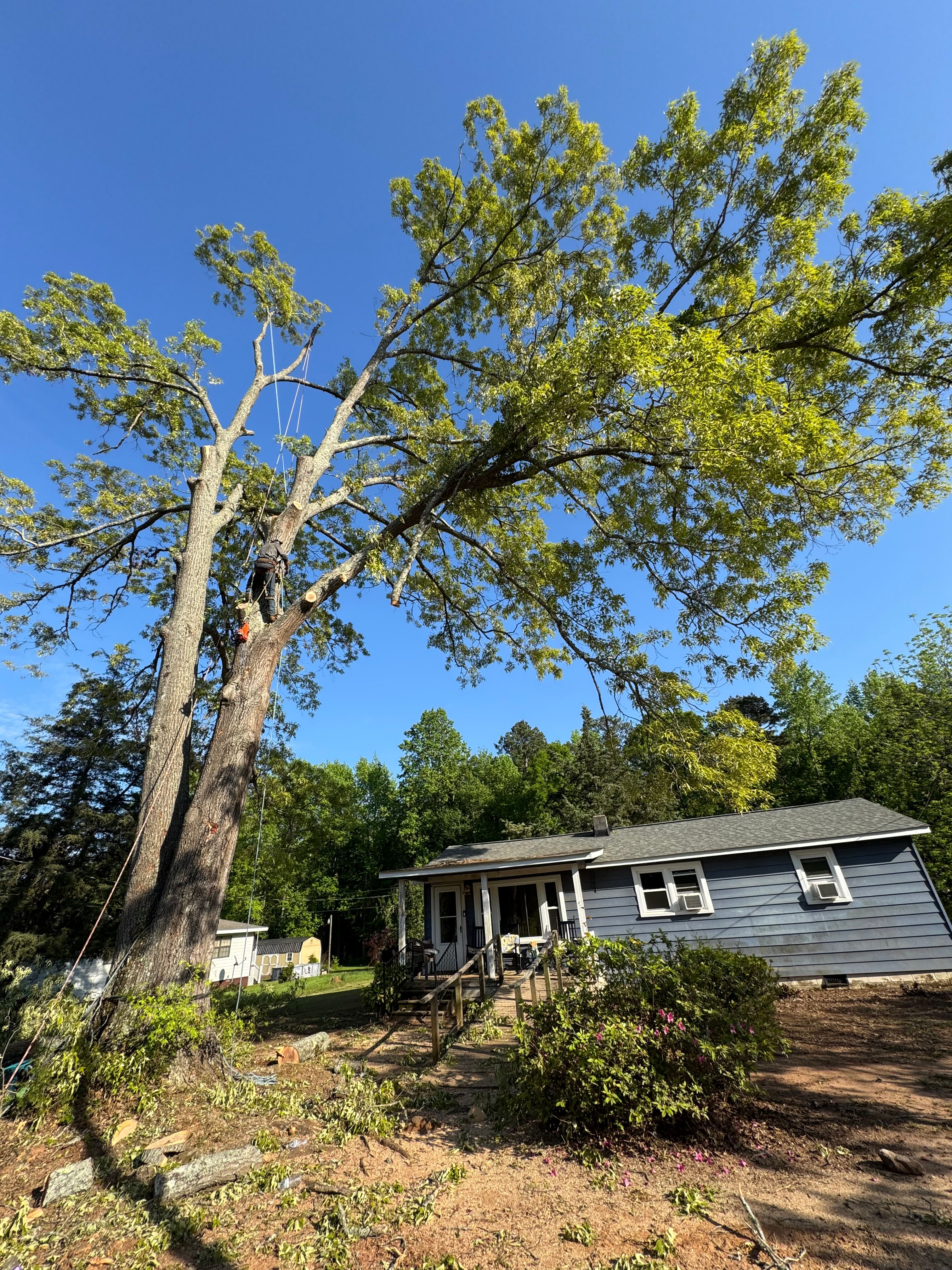  for Thin Green Line Landscaping & More in Laurens, SC
