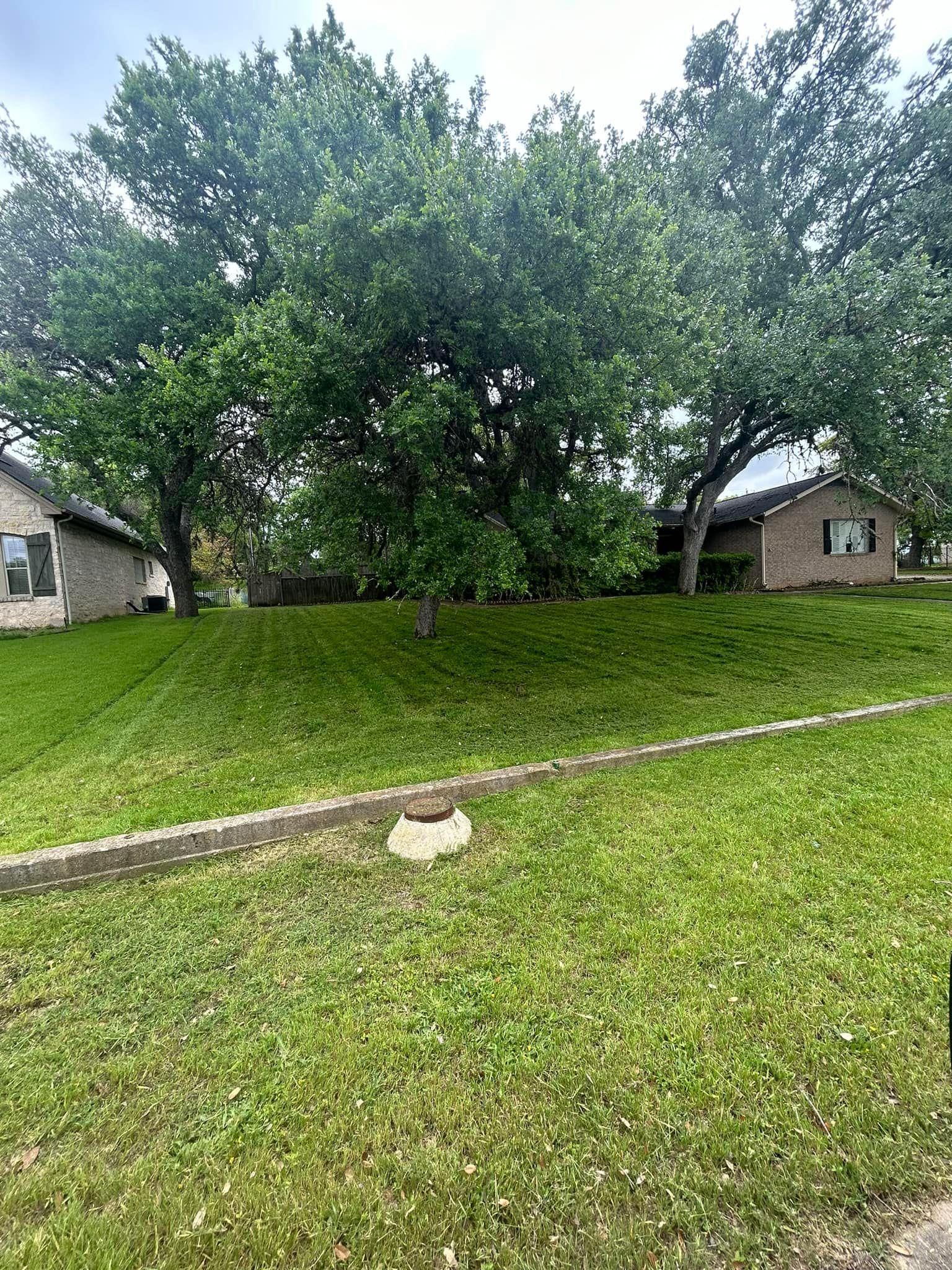 All Photos for Green Turf Landscaping in Kyle, TX