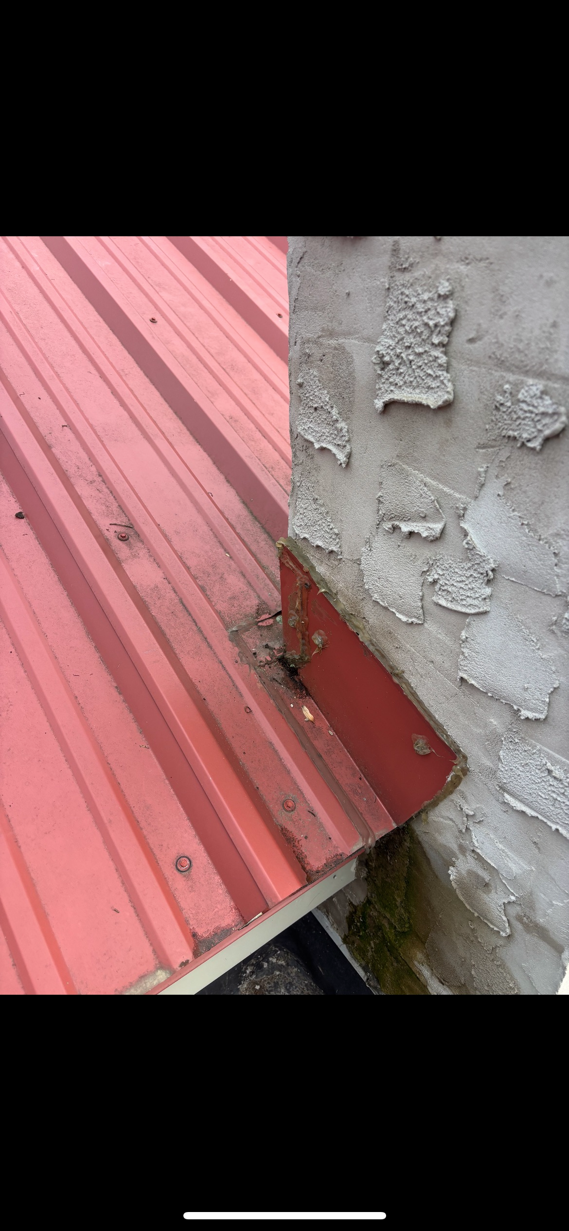  for Todd L. Snyder Construction Services in New Ringgold, PA