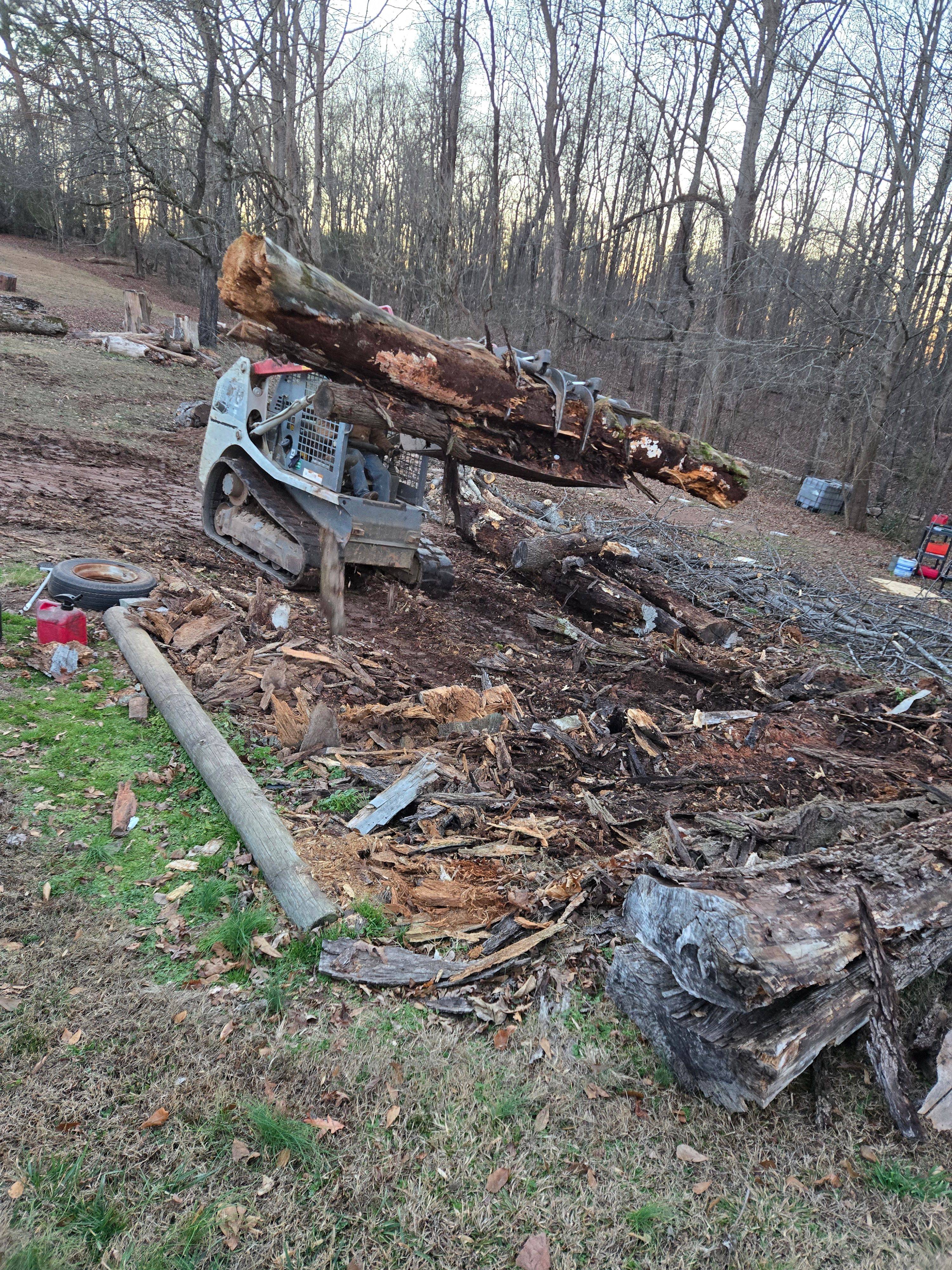  for GA Bear Dumpster Rental in Cumming, GA