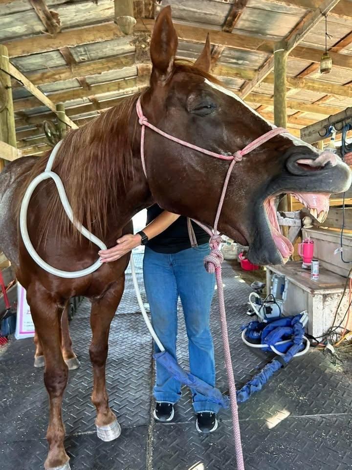  for Florida Native Equestrian Development in Central Florida, FL