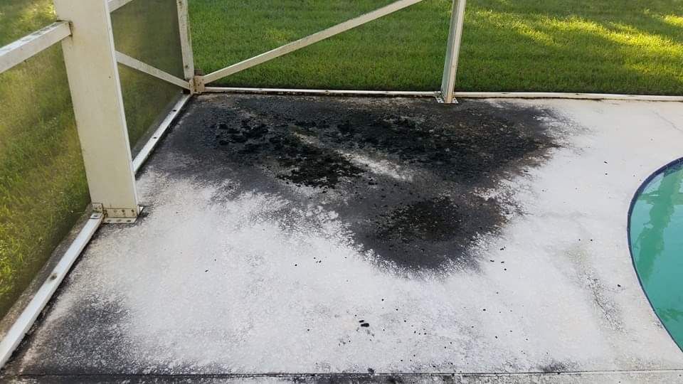  for Blue Stream Roof Cleaning & Pressure Washing in Tampa, FL