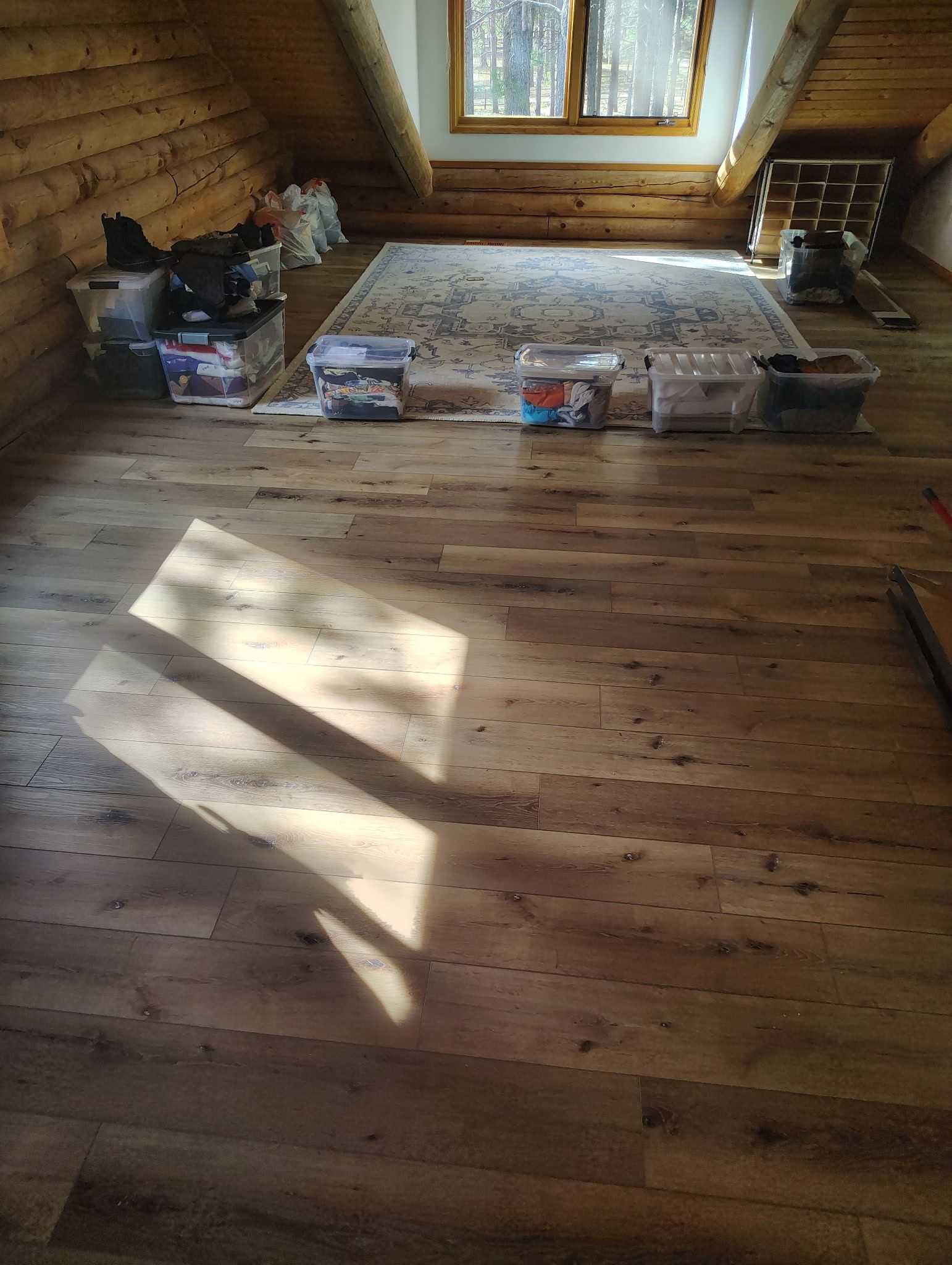  for  in Colorado Springs, CO