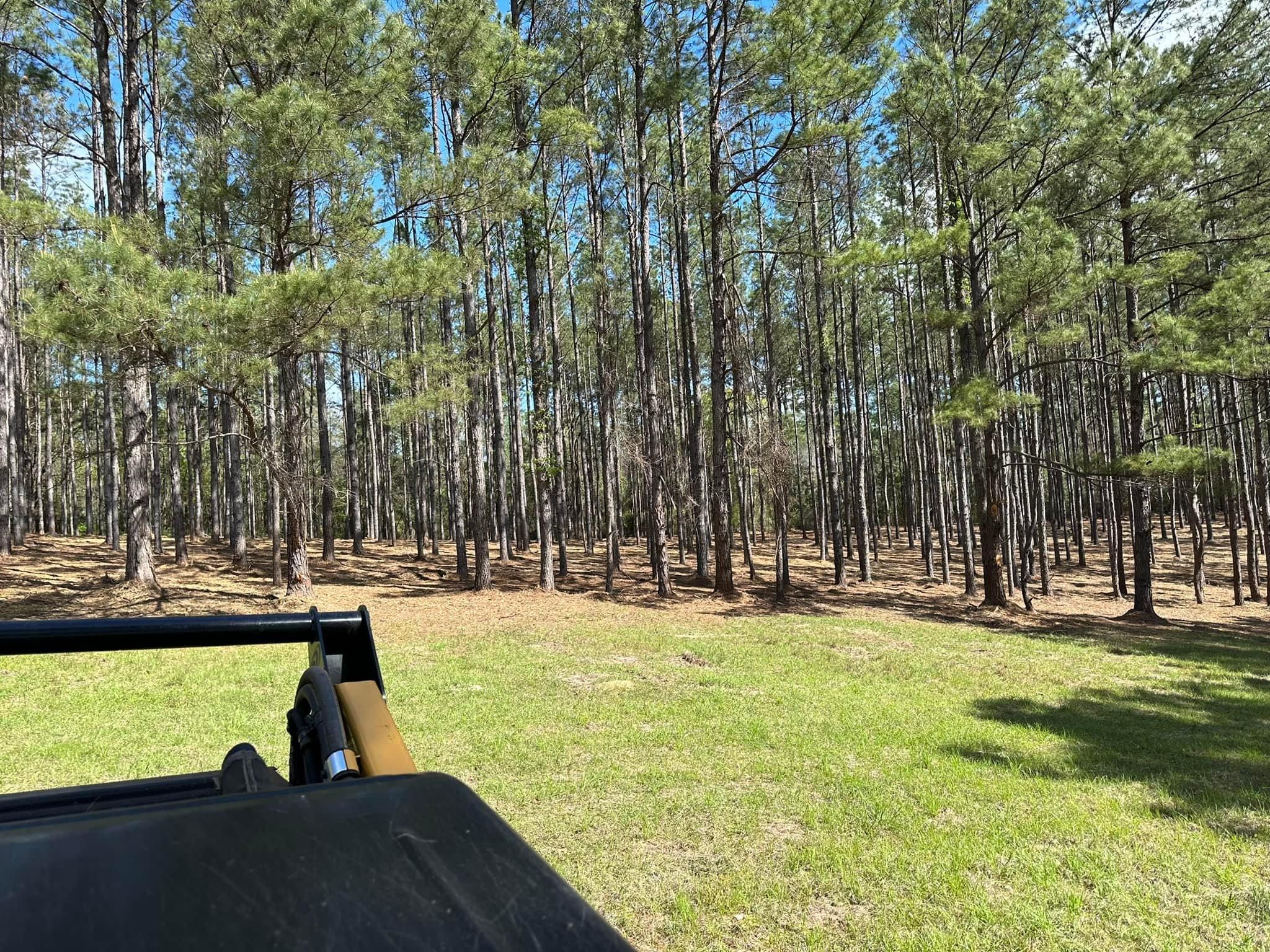 All Photos for White’s Land Maintenance in Milton,, FL