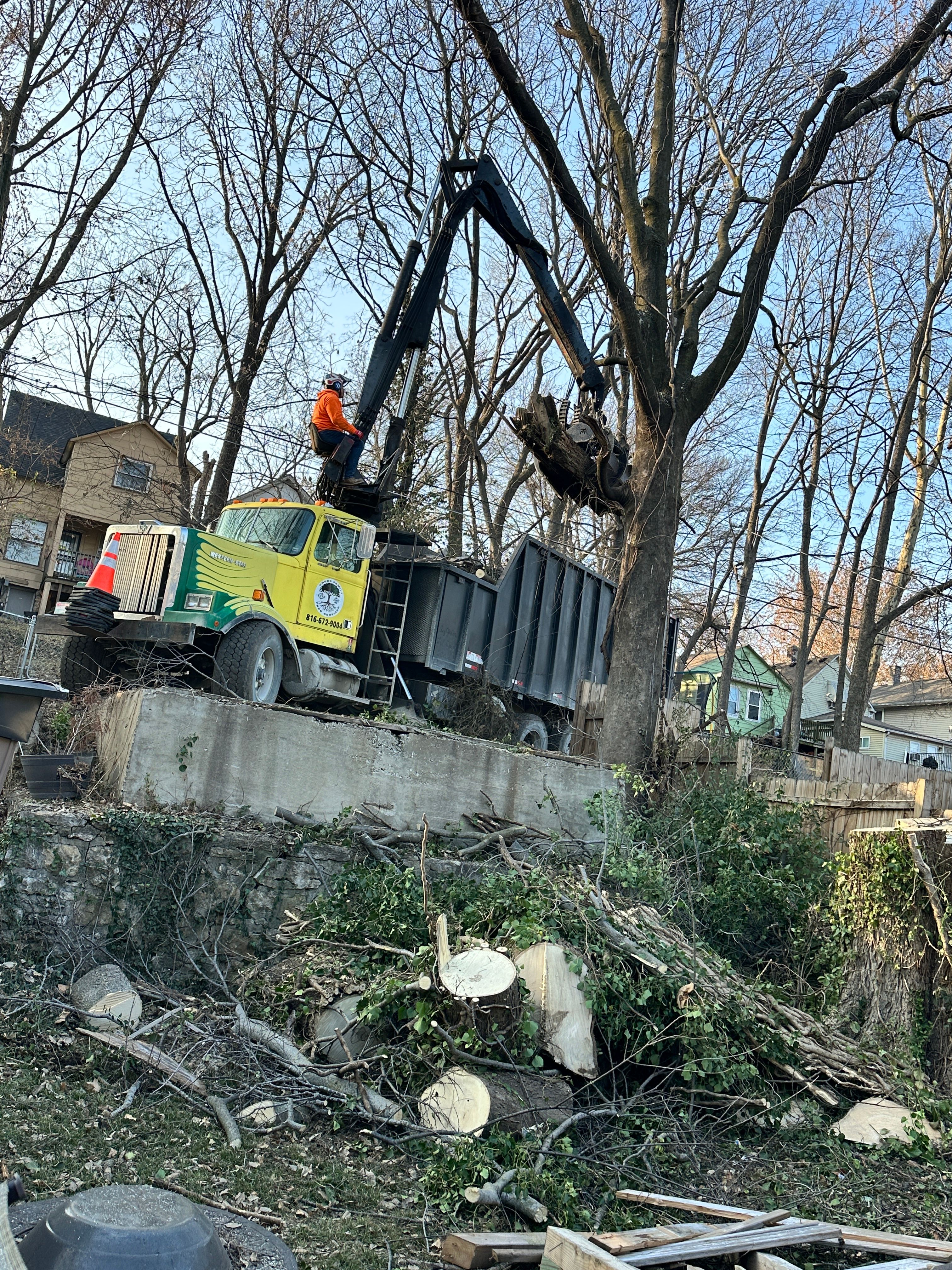 All Photos for Cross Family Tree Service in Kearney, MO