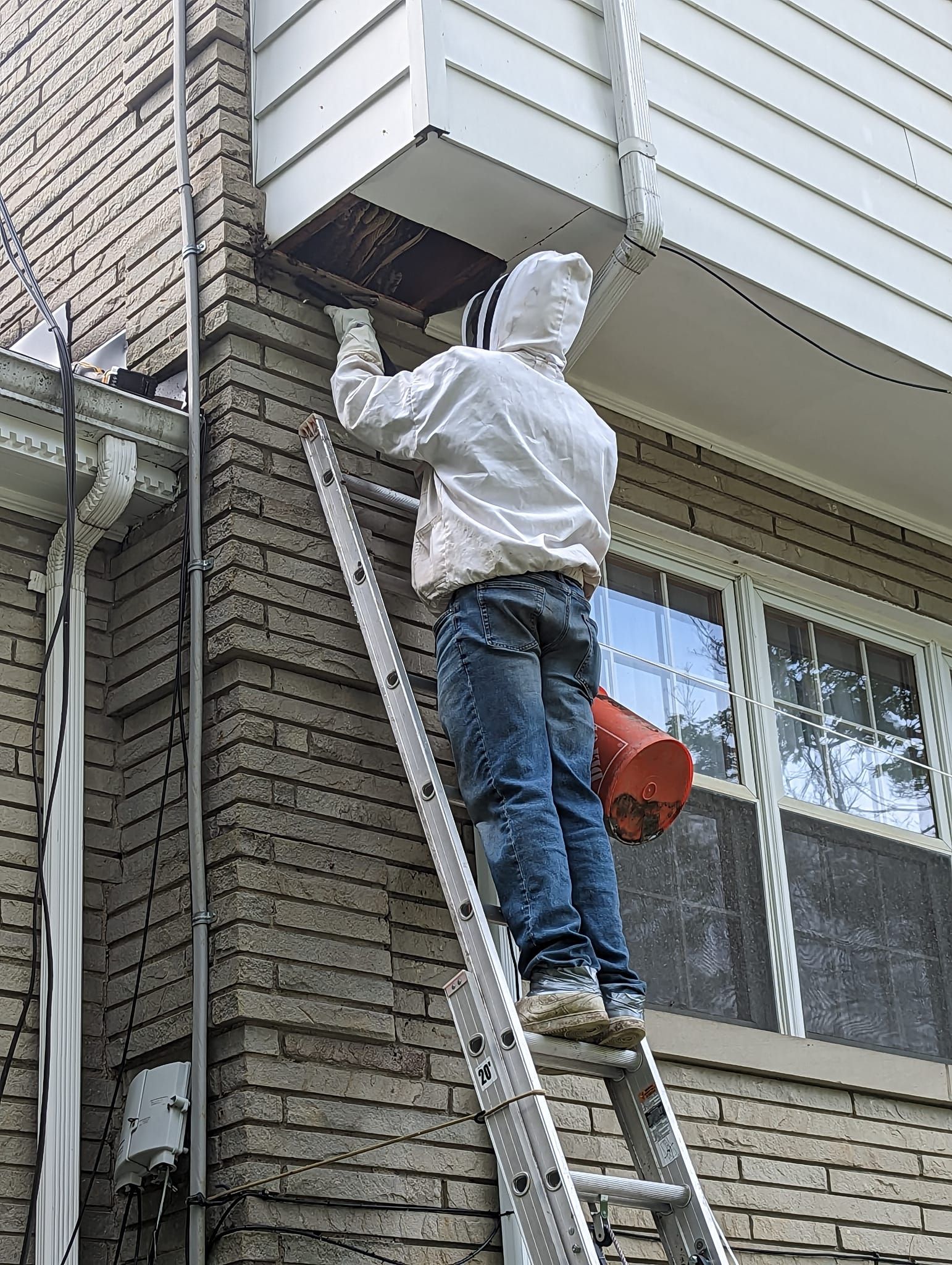  for HoneyBee Blues in McKees Rocks,  PA