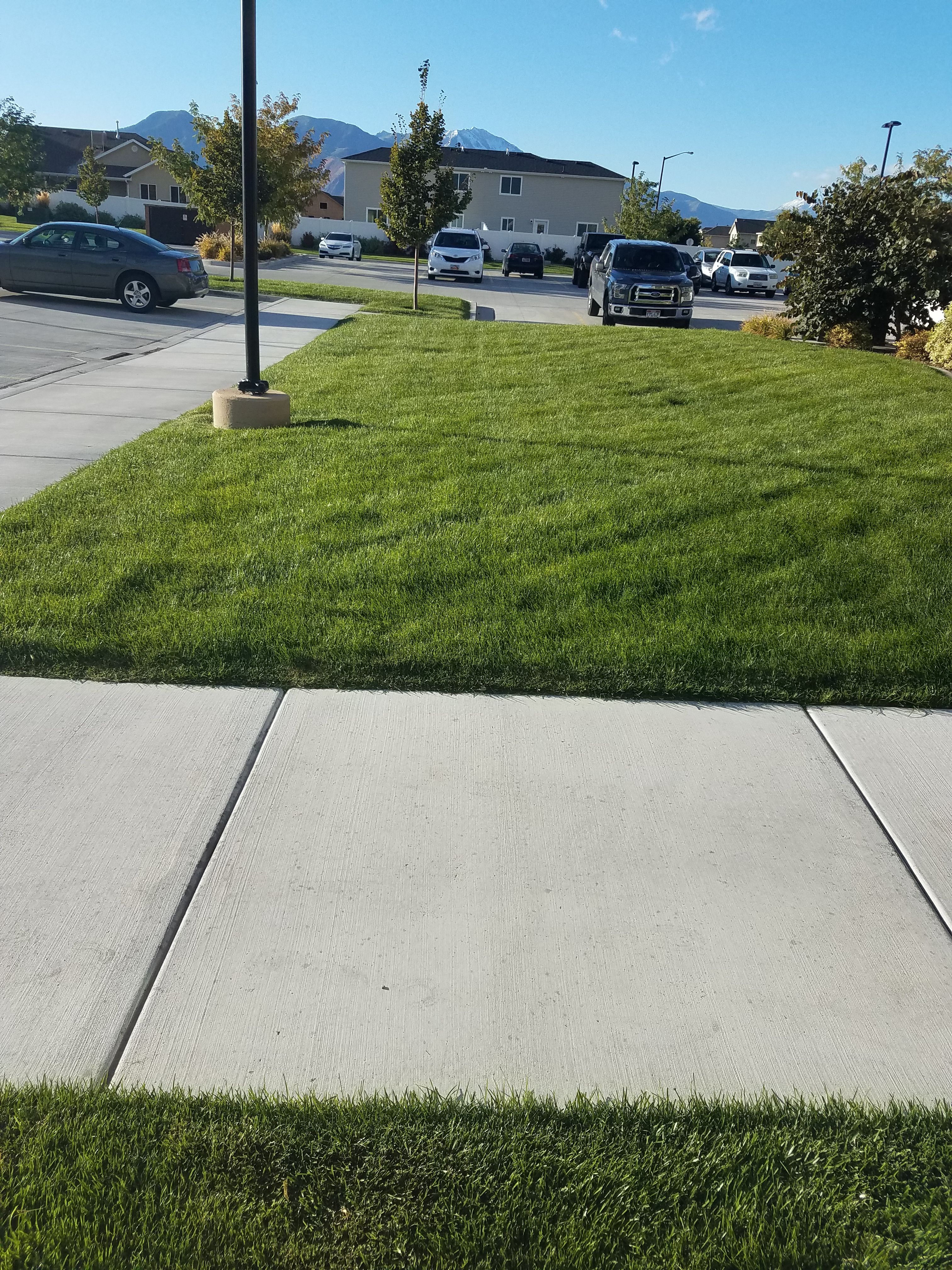  for Platinum Lawn Service in Santaquin, UT