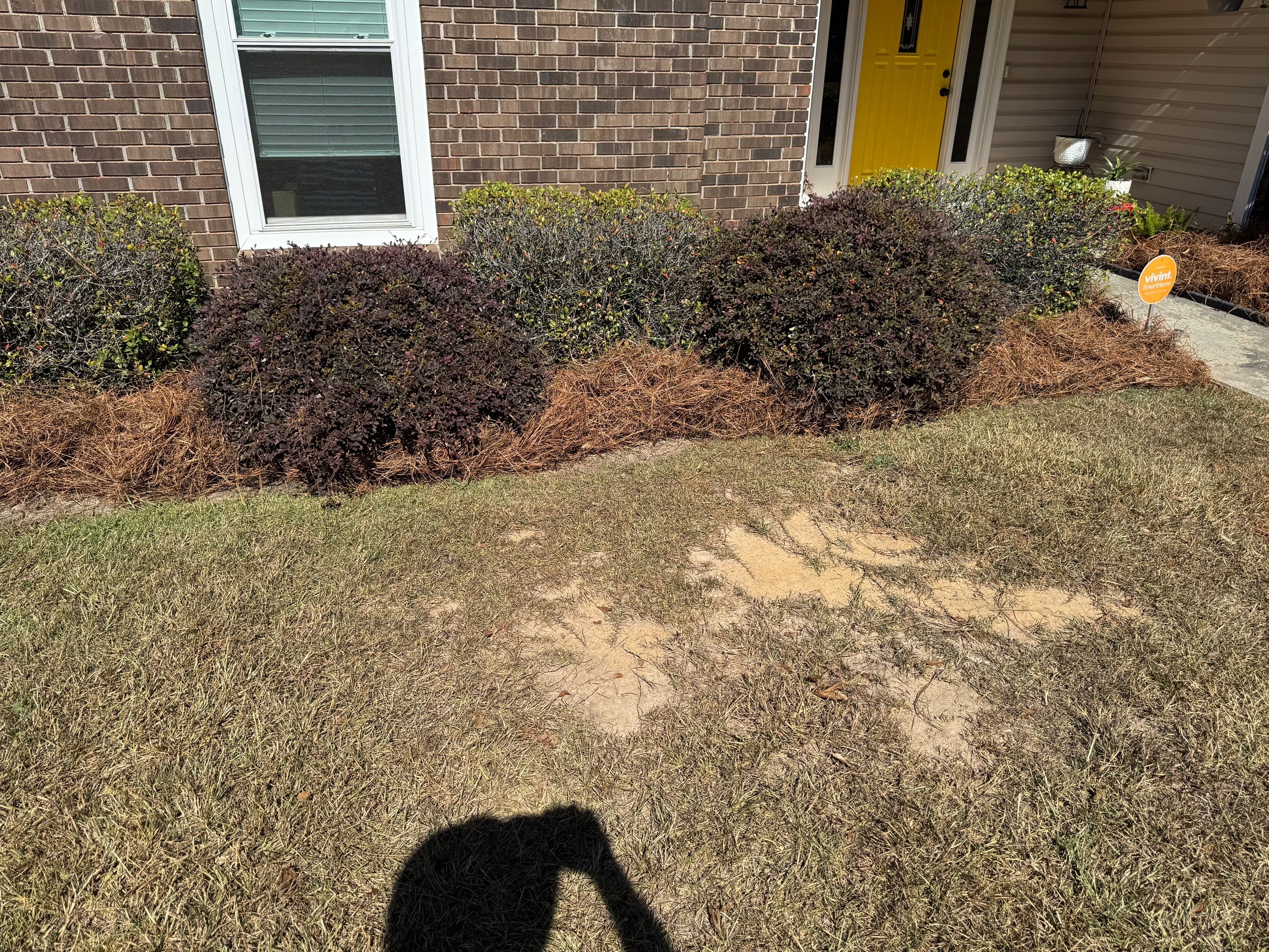 All Photos for Camalett Services in Perry, GA