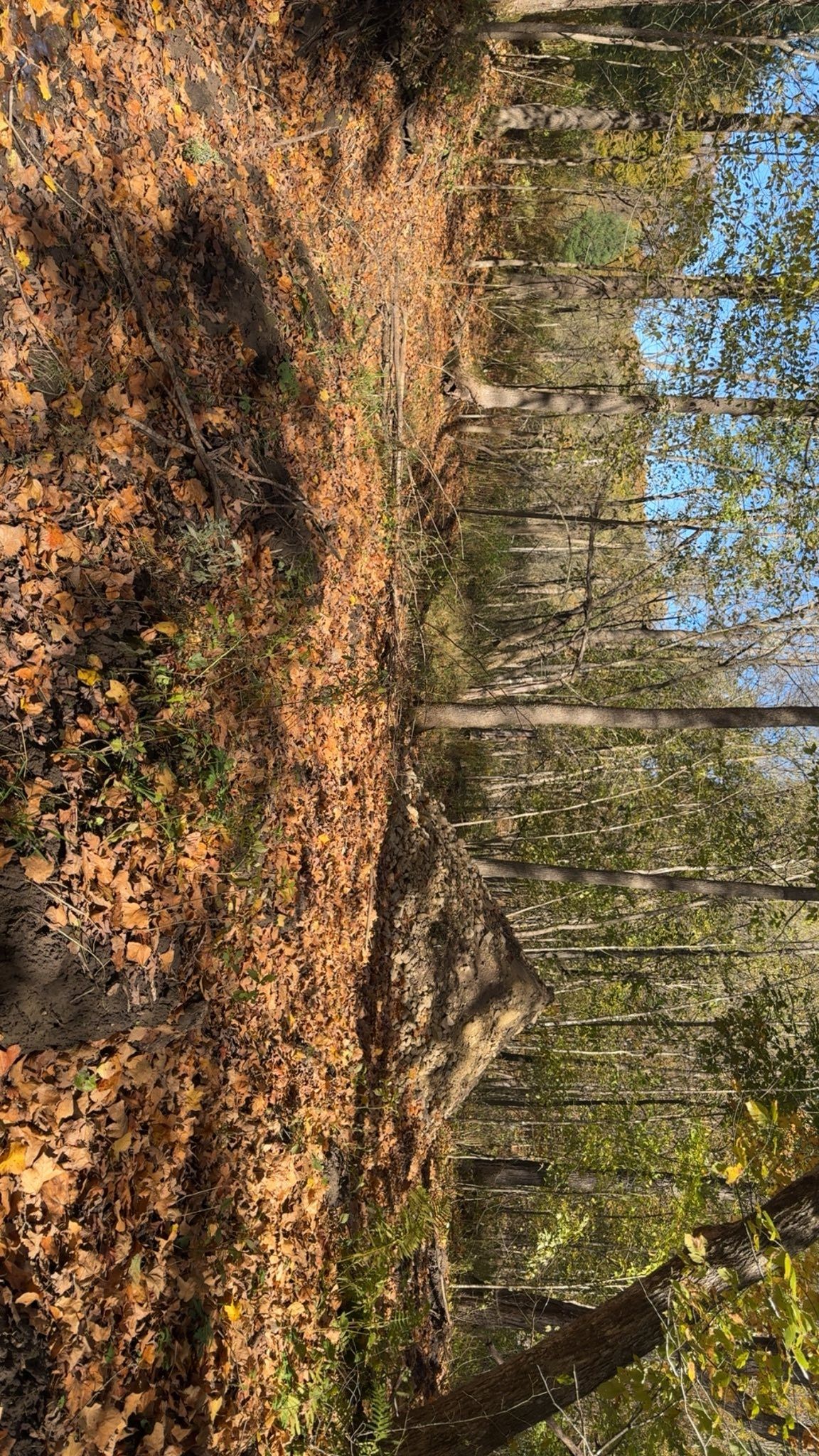  for H&R Land Services and Excavating in Eau Claire,  WI