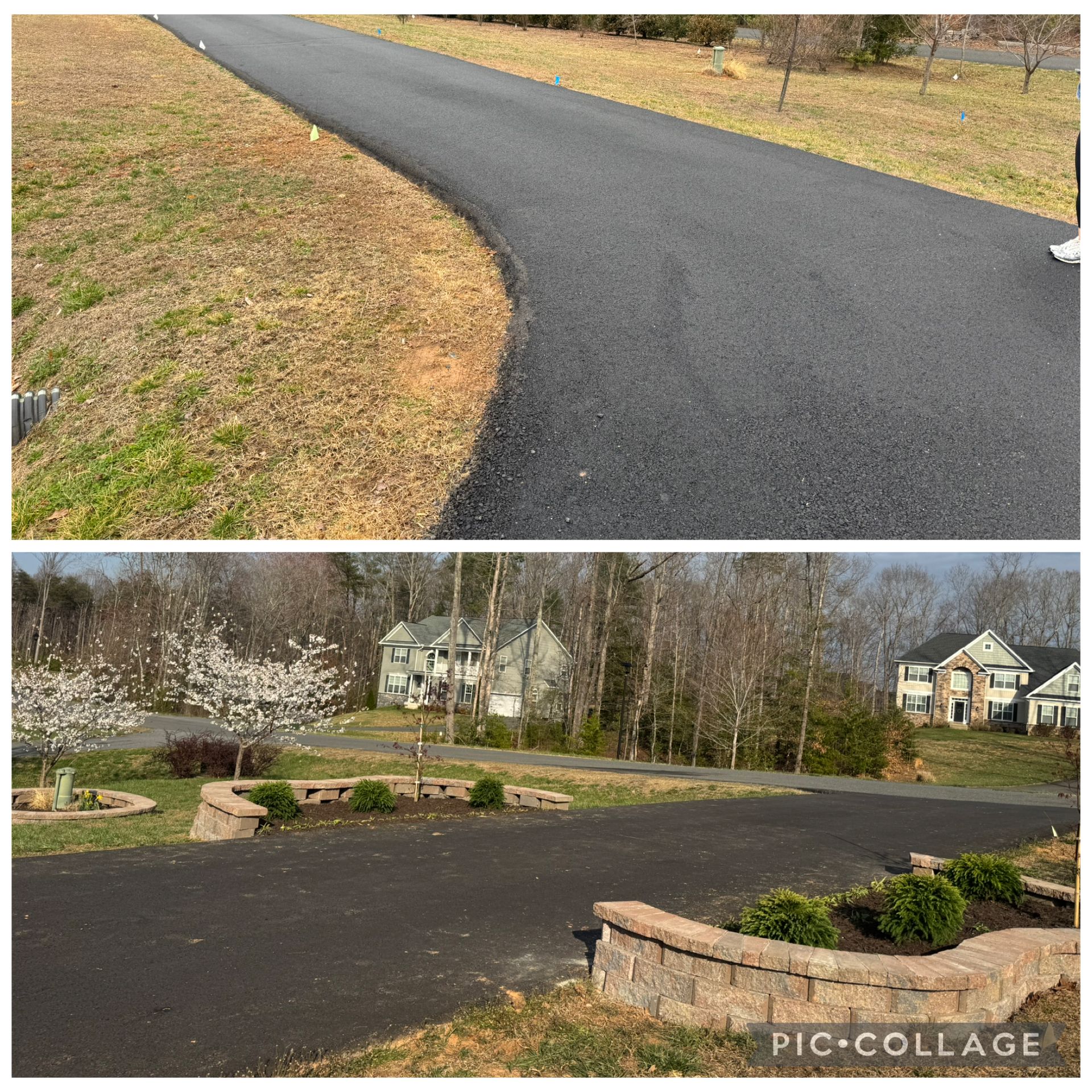  for Branch Out Tree Care LLC in Fredericksburg, VA