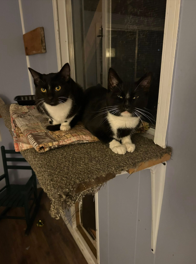  for Sullivan Sanctuary of Maine in Brunswick, ME