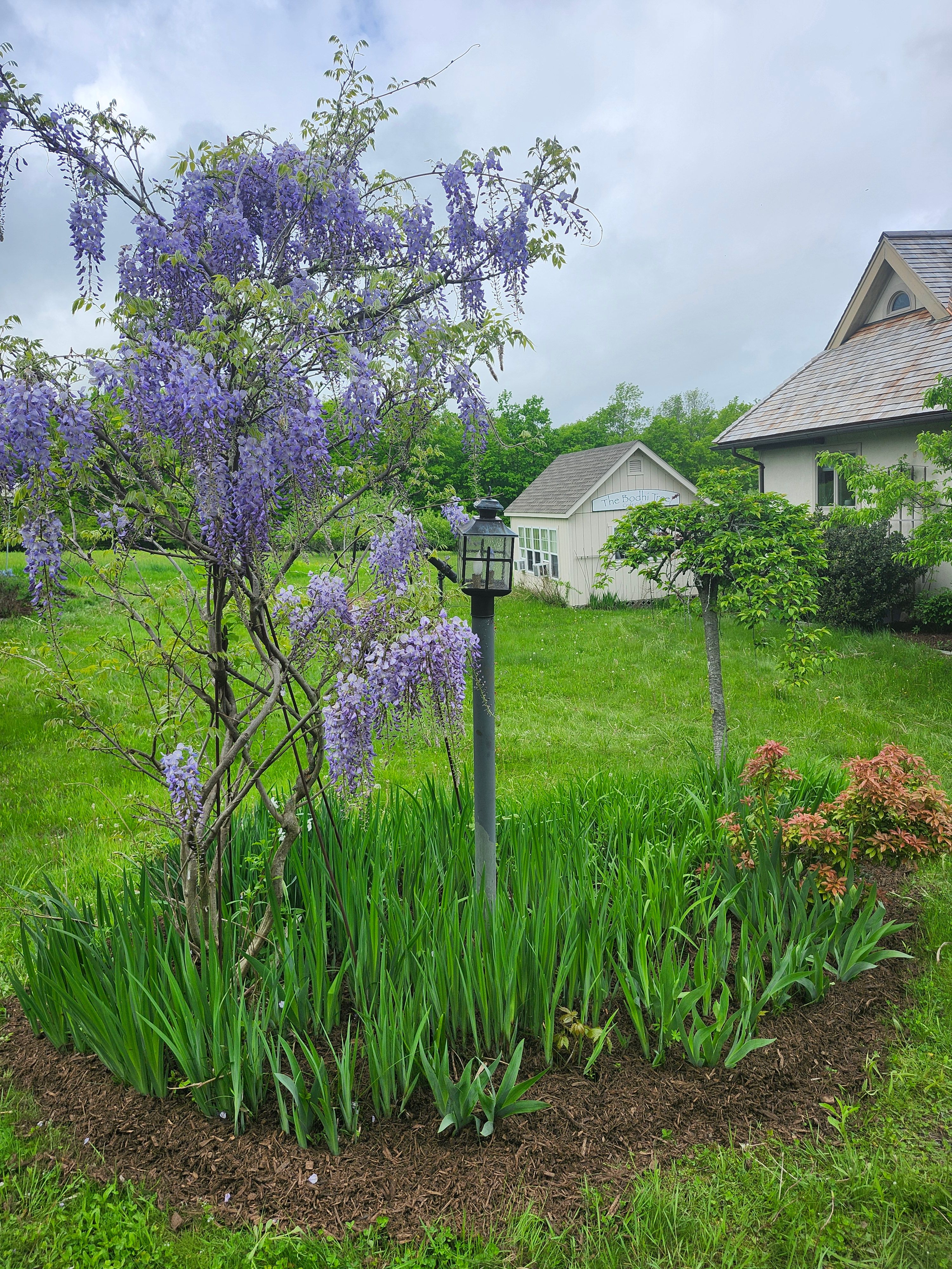 Flower & Tree Planting for Landscape Innovations LLC in Torrington, CT