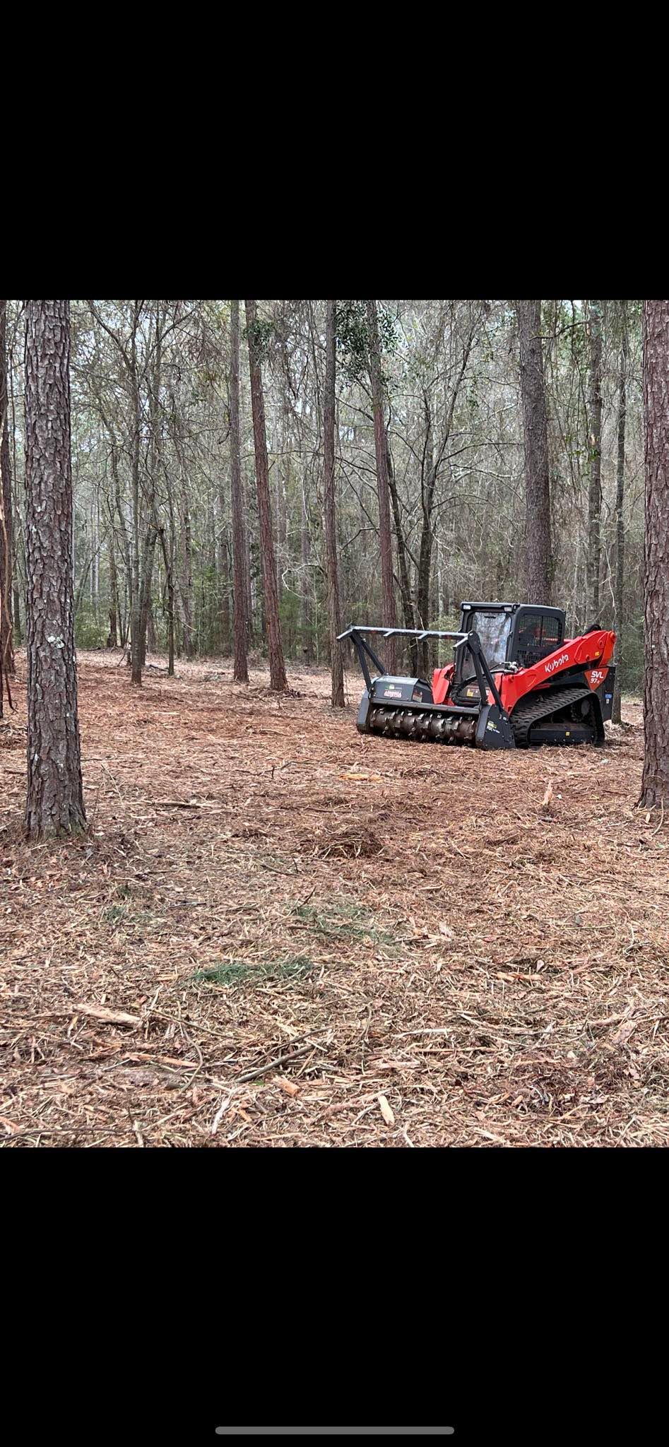 All Photos for Thompson Forestry Mulching & Stump Grinding in Douglas, GA