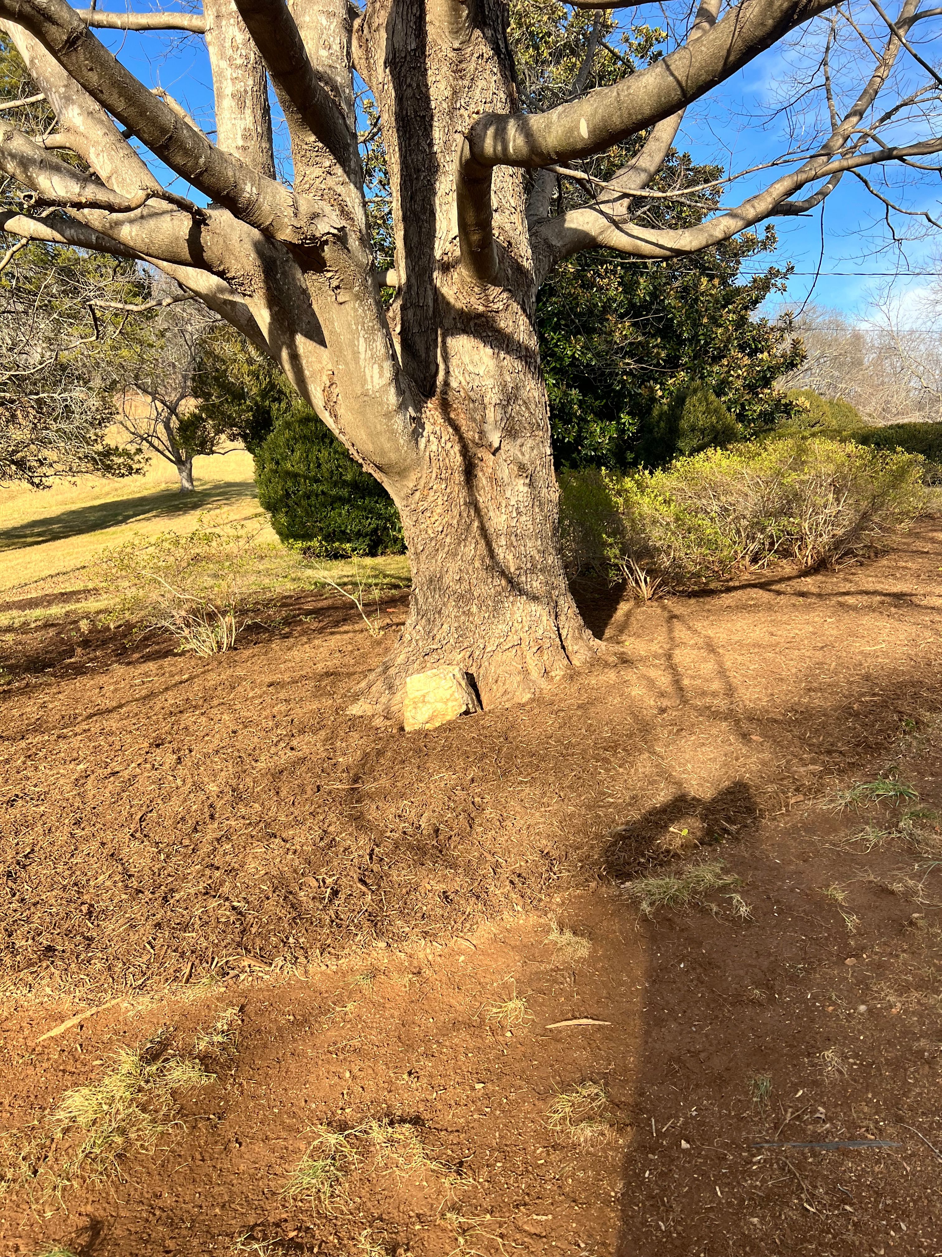  for Valencia’s Lawncare in Charlottesville, VA