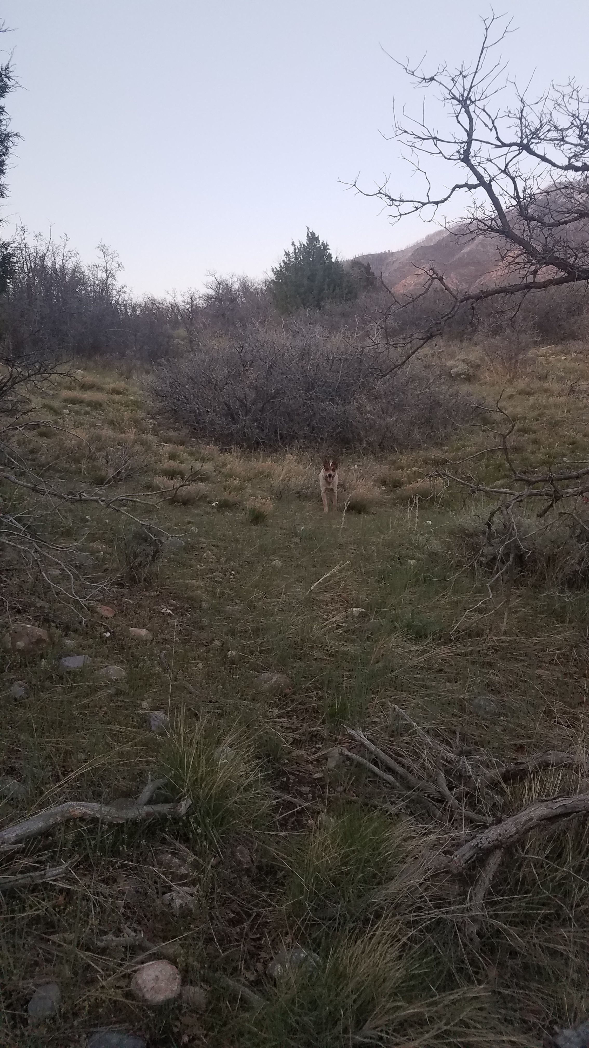  for Platinum Lawn Service in Santaquin, UT