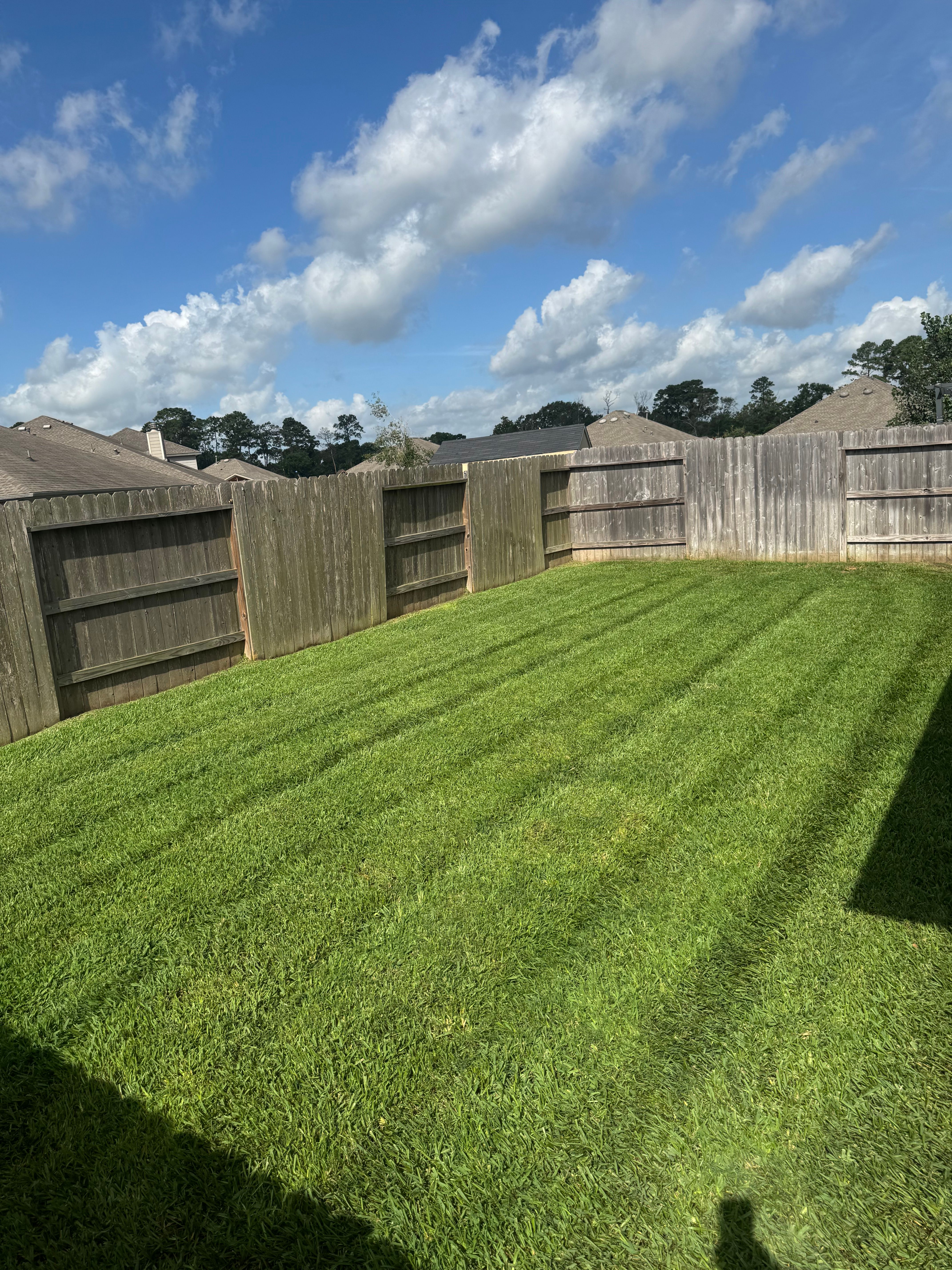  for Casey's Lawn Service in Houston, TX