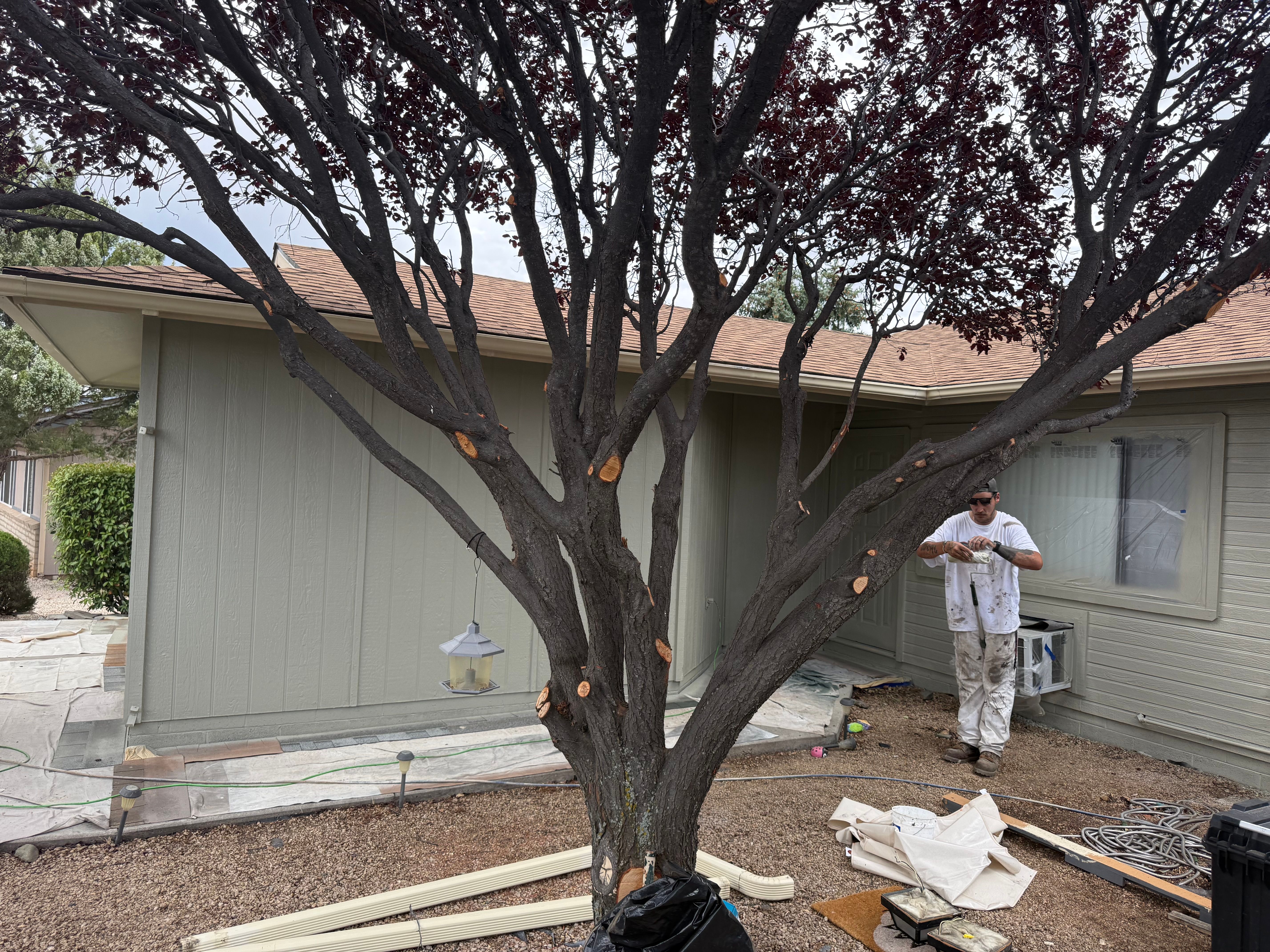  for True Vision Painting in Prescott Valley, AZ